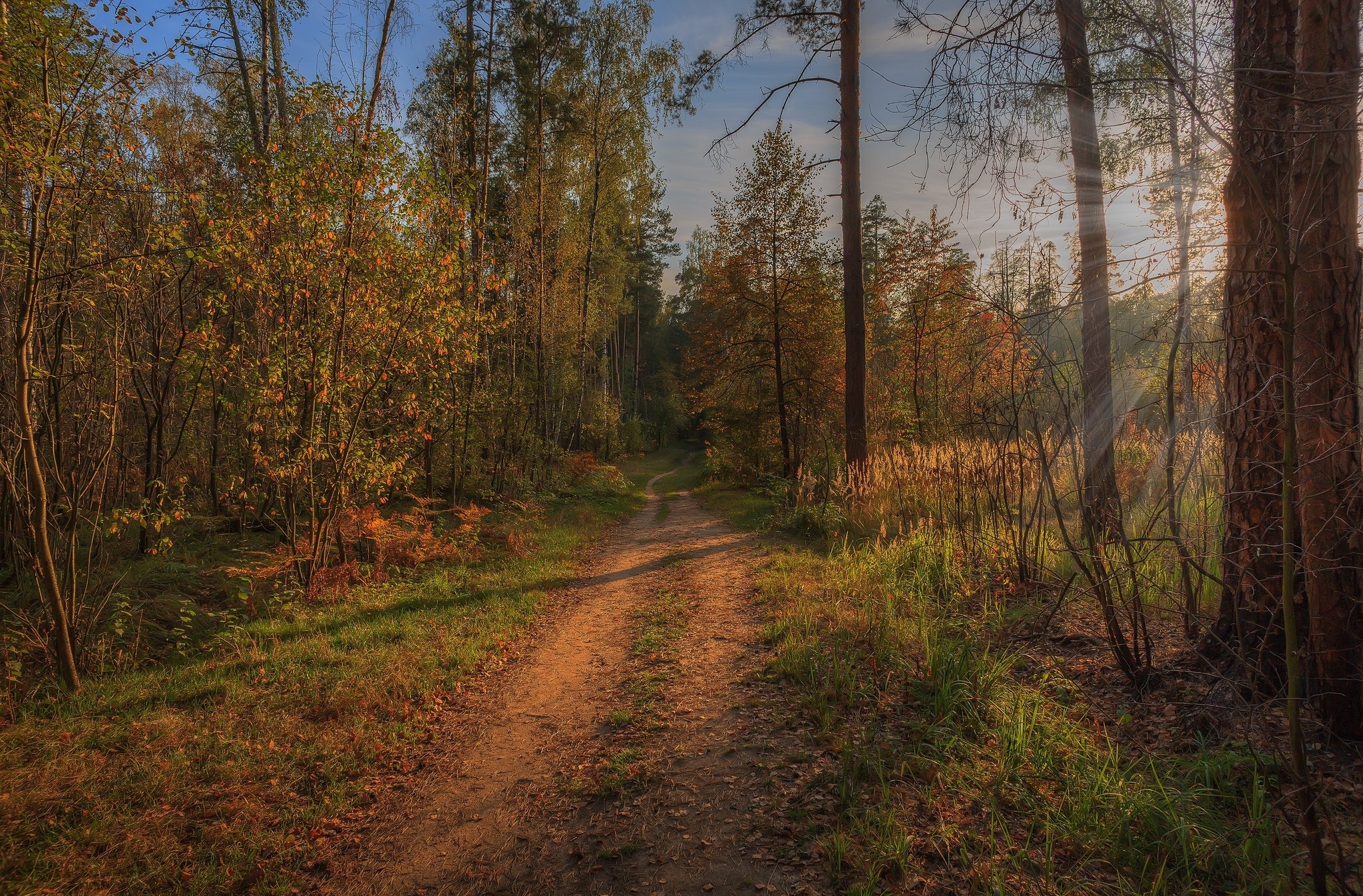 Laden Sie das Natur, Pfad, Erde/natur-Bild kostenlos auf Ihren PC-Desktop herunter