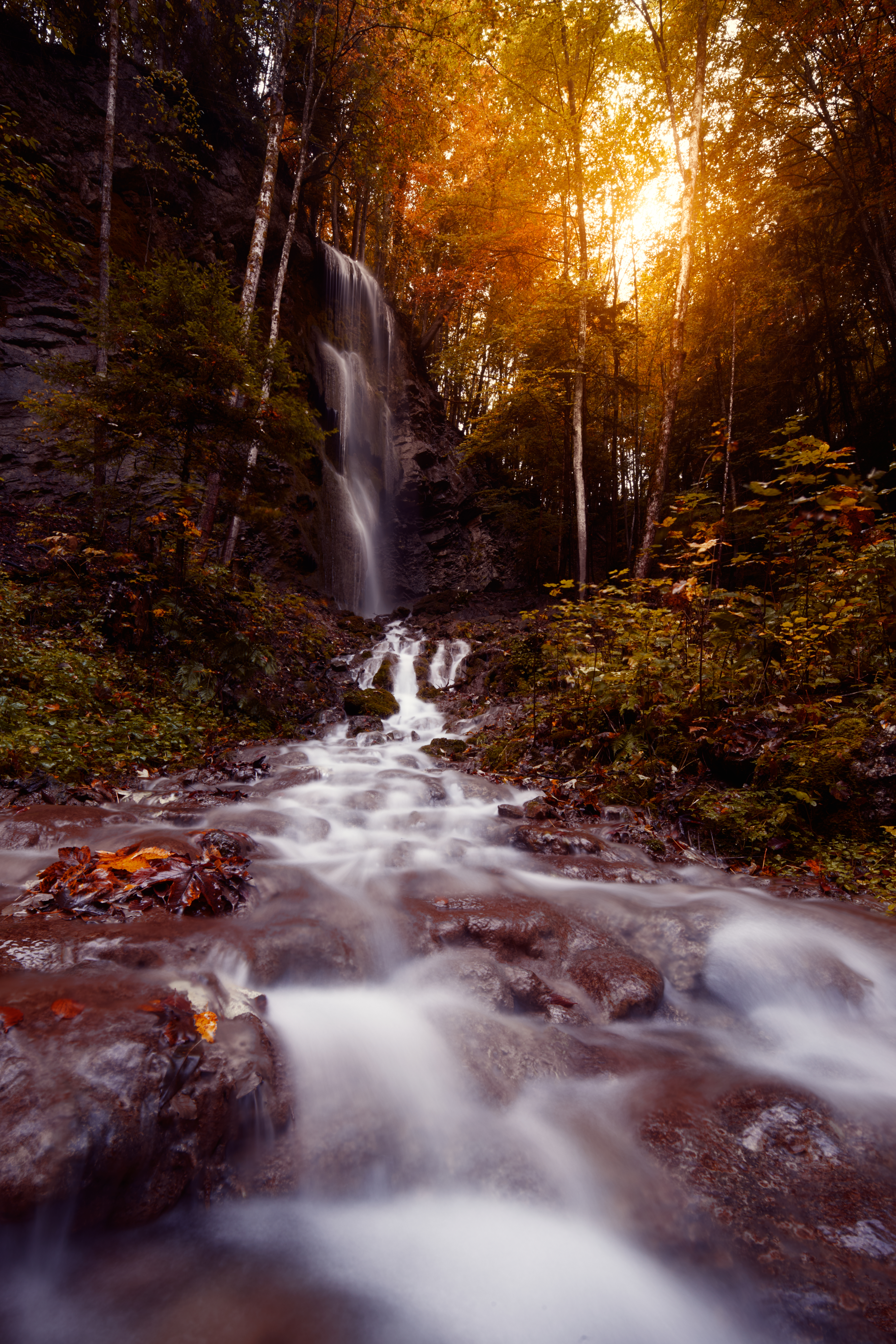 water, waterfall, nature, trees, stones, flow, stream Full HD