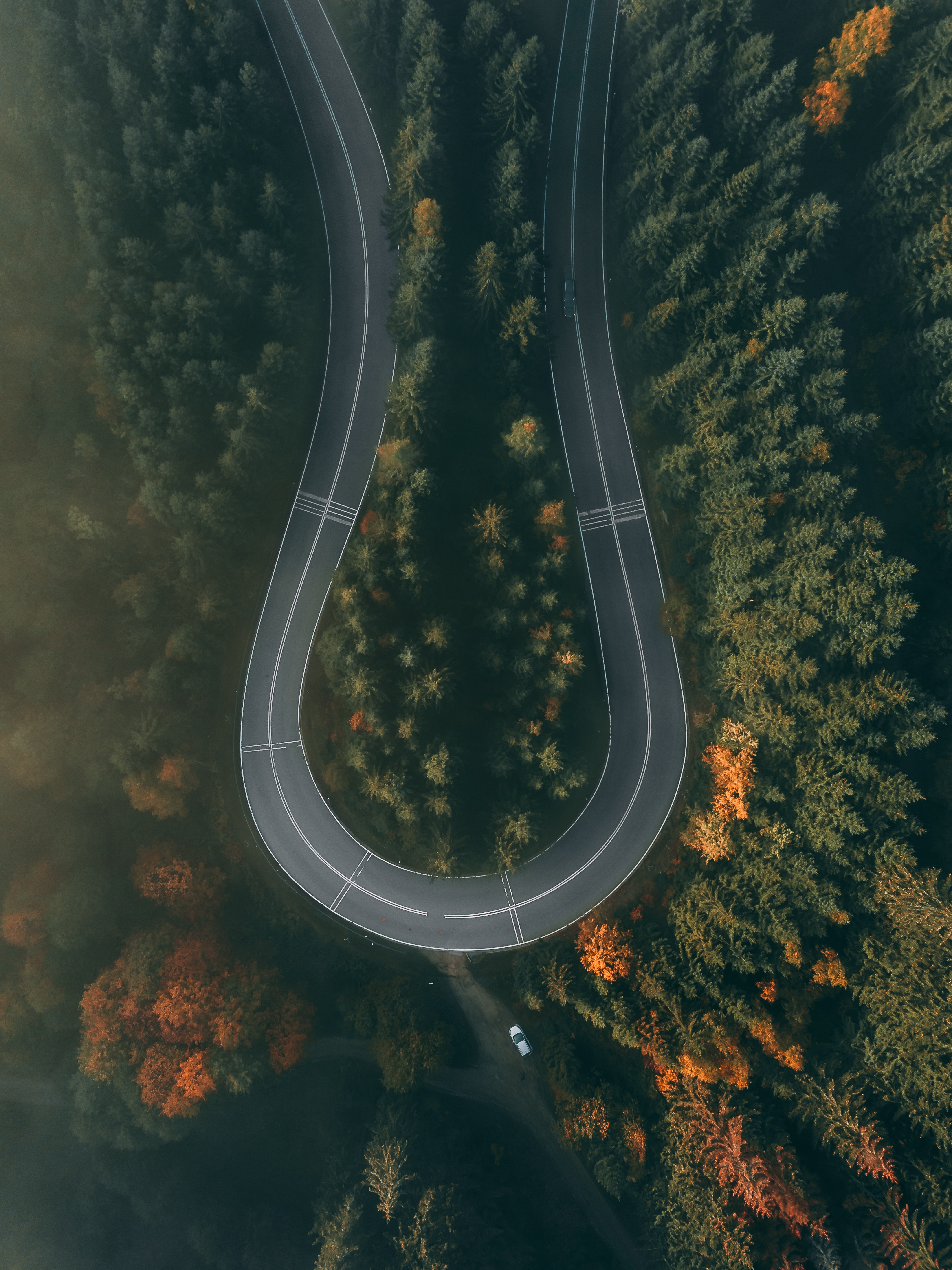 nature, view from above, road, turn, forest, winding, sinuous cell phone wallpapers