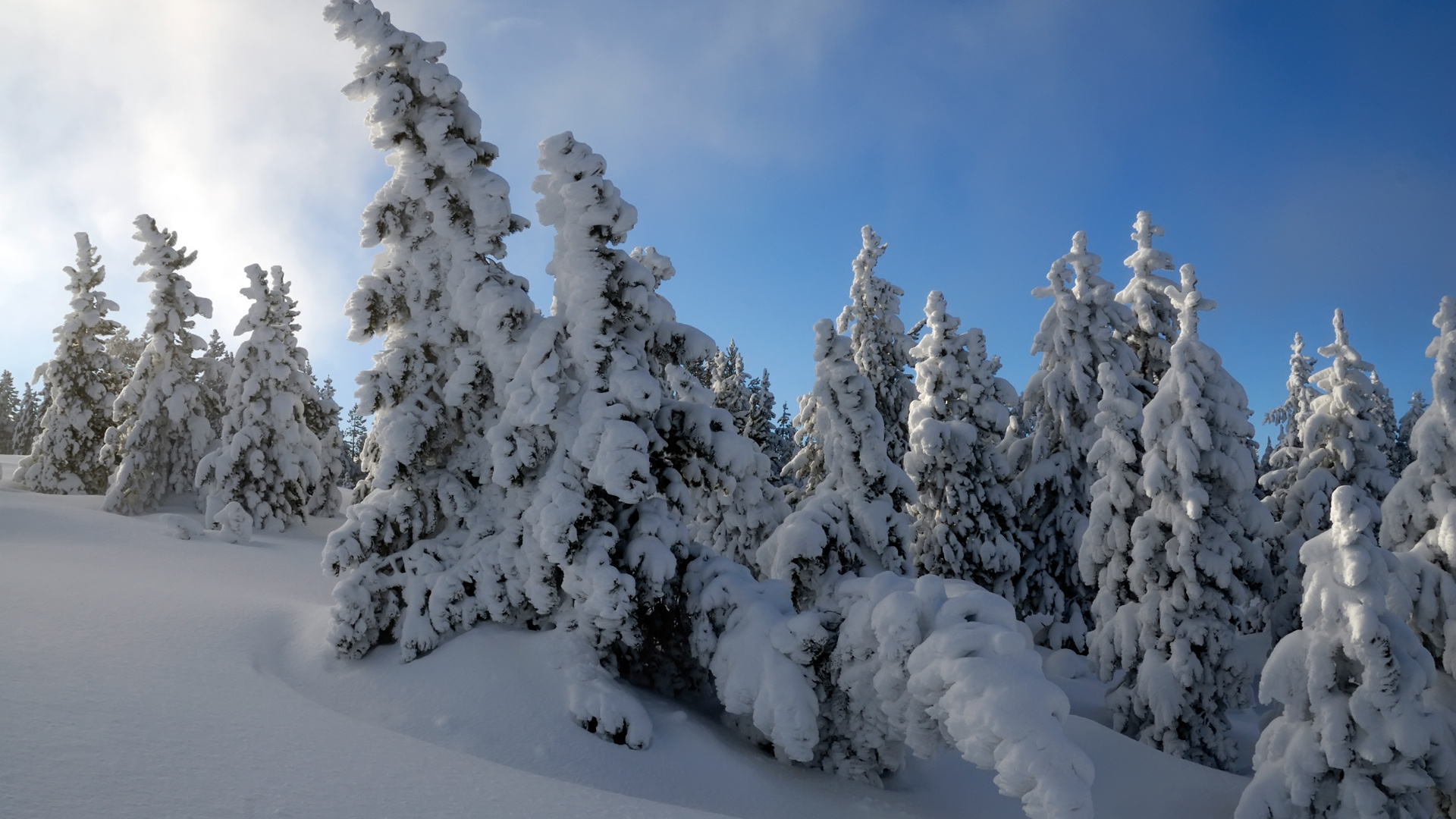 Baixar papel de parede para celular de Inverno, Terra/natureza gratuito.