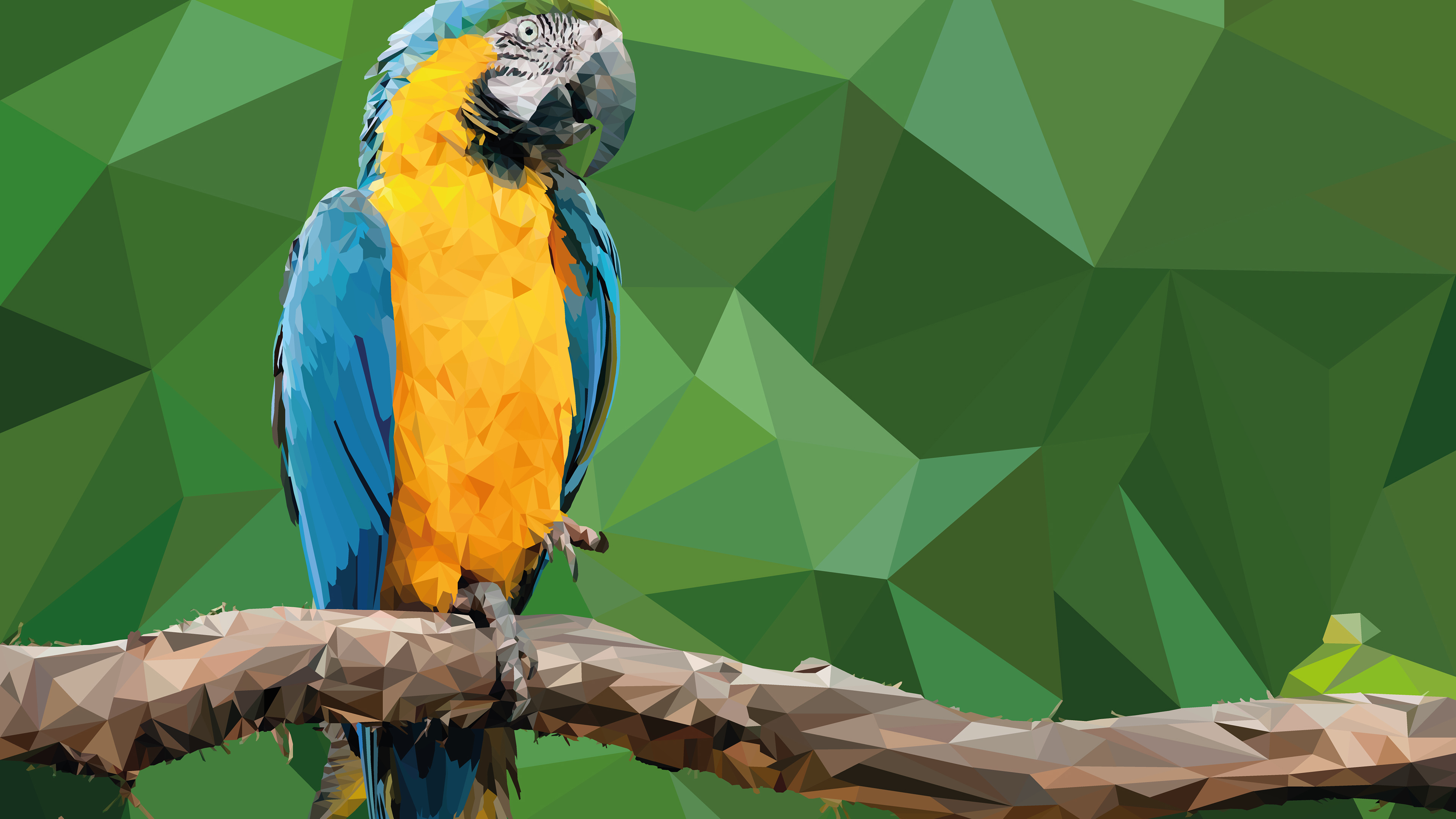 Скачати мобільні шпалери Птахи, Тварина, Ара, Грані, Синьо Жовтий Ара безкоштовно.