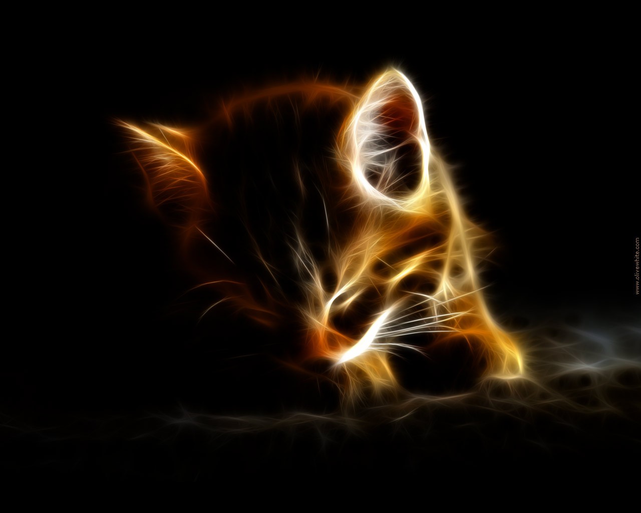 Download mobile wallpaper Cat, Animal for free.