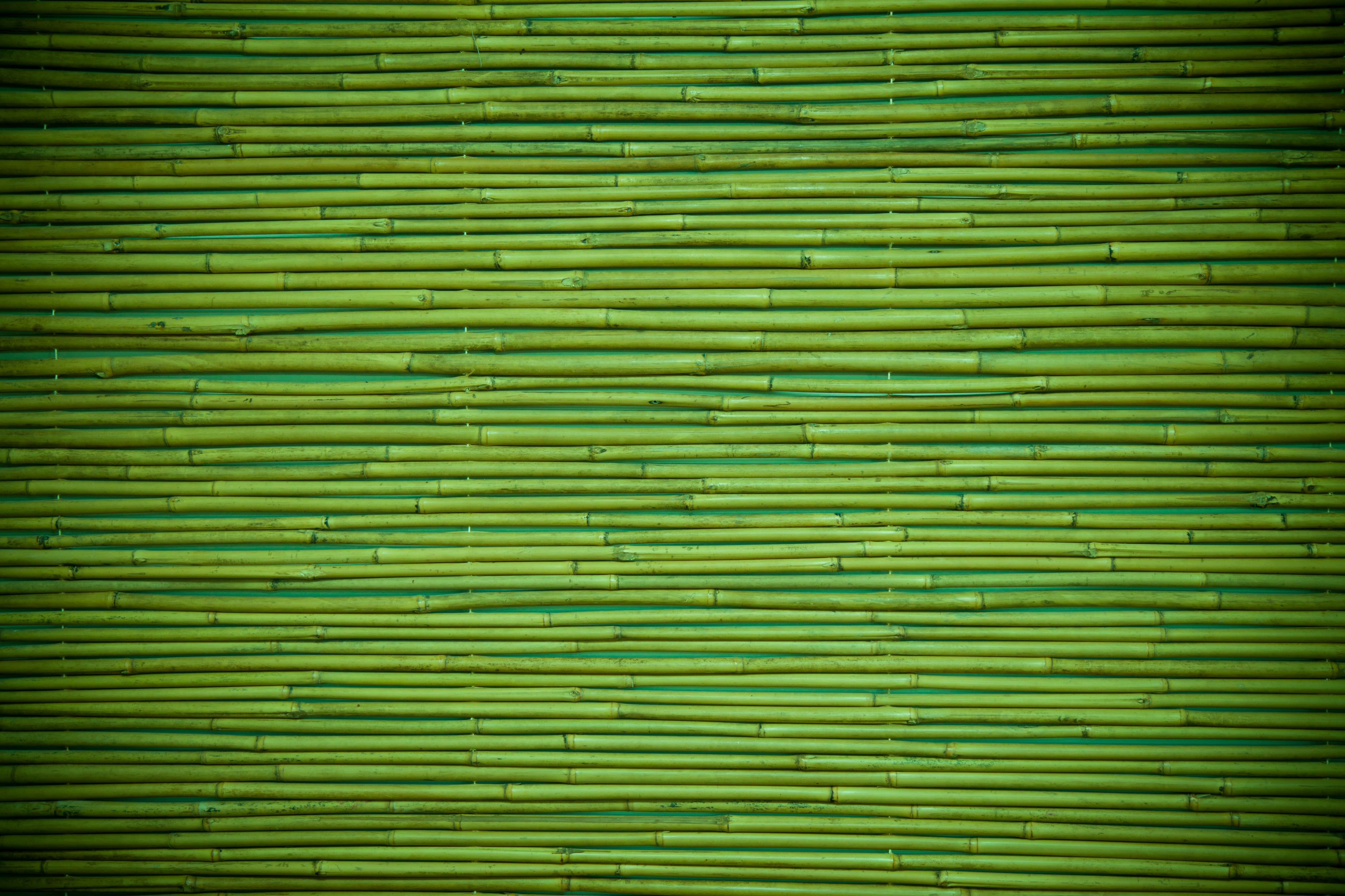 Baixar papel de parede para celular de Madeira, Bambu, Artistico gratuito.