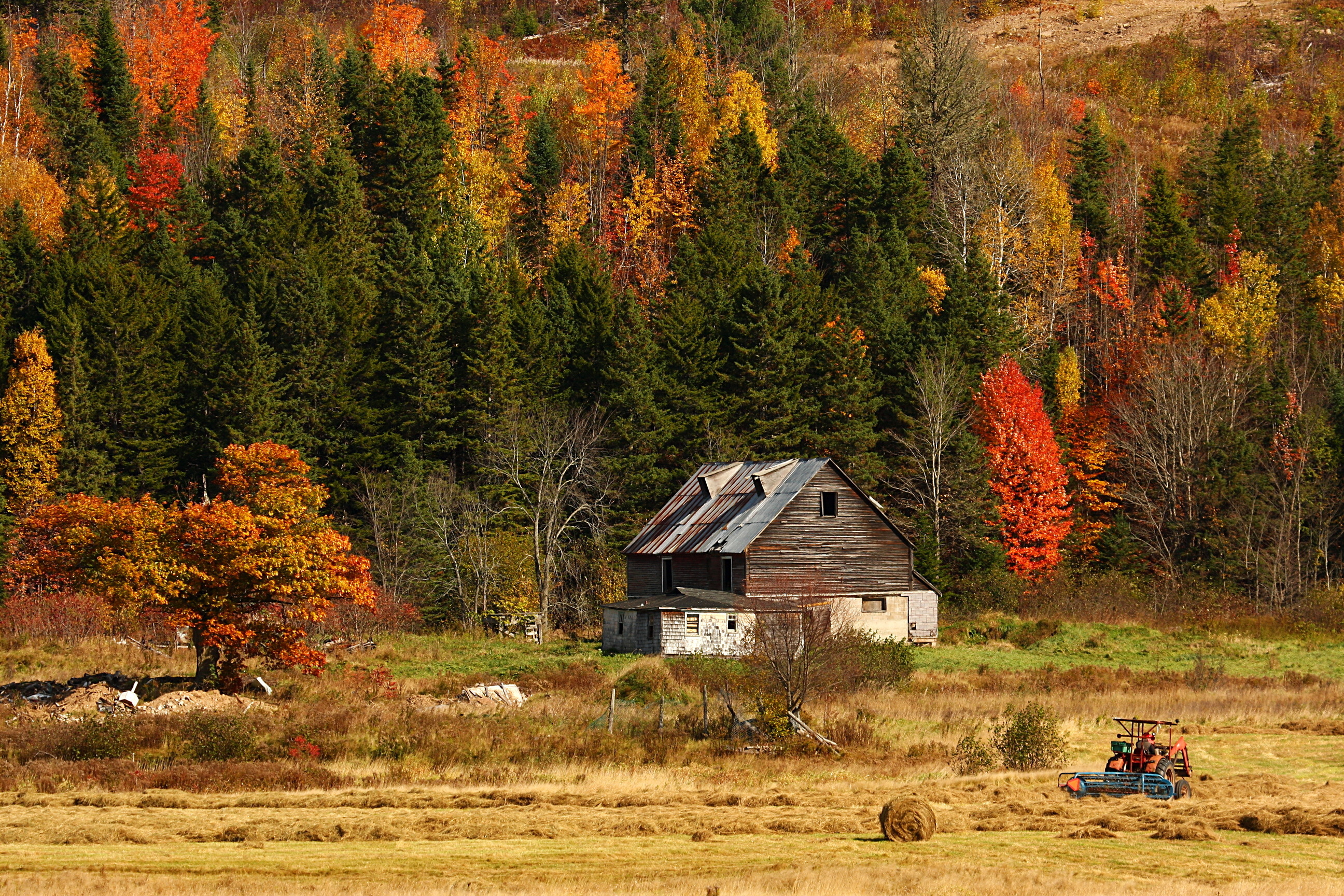 Handy-Wallpaper Herbst, Fotografie kostenlos herunterladen.