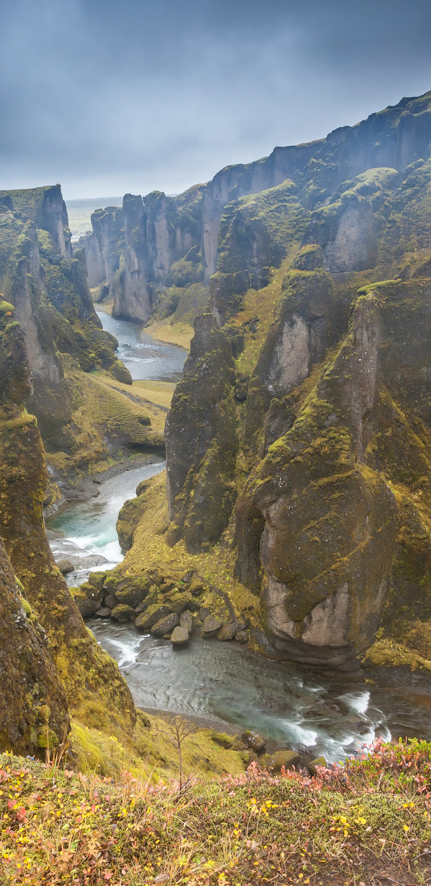 Free download wallpaper Nature, Canyon, Earth, Cliff, Moss, Canyons, River on your PC desktop