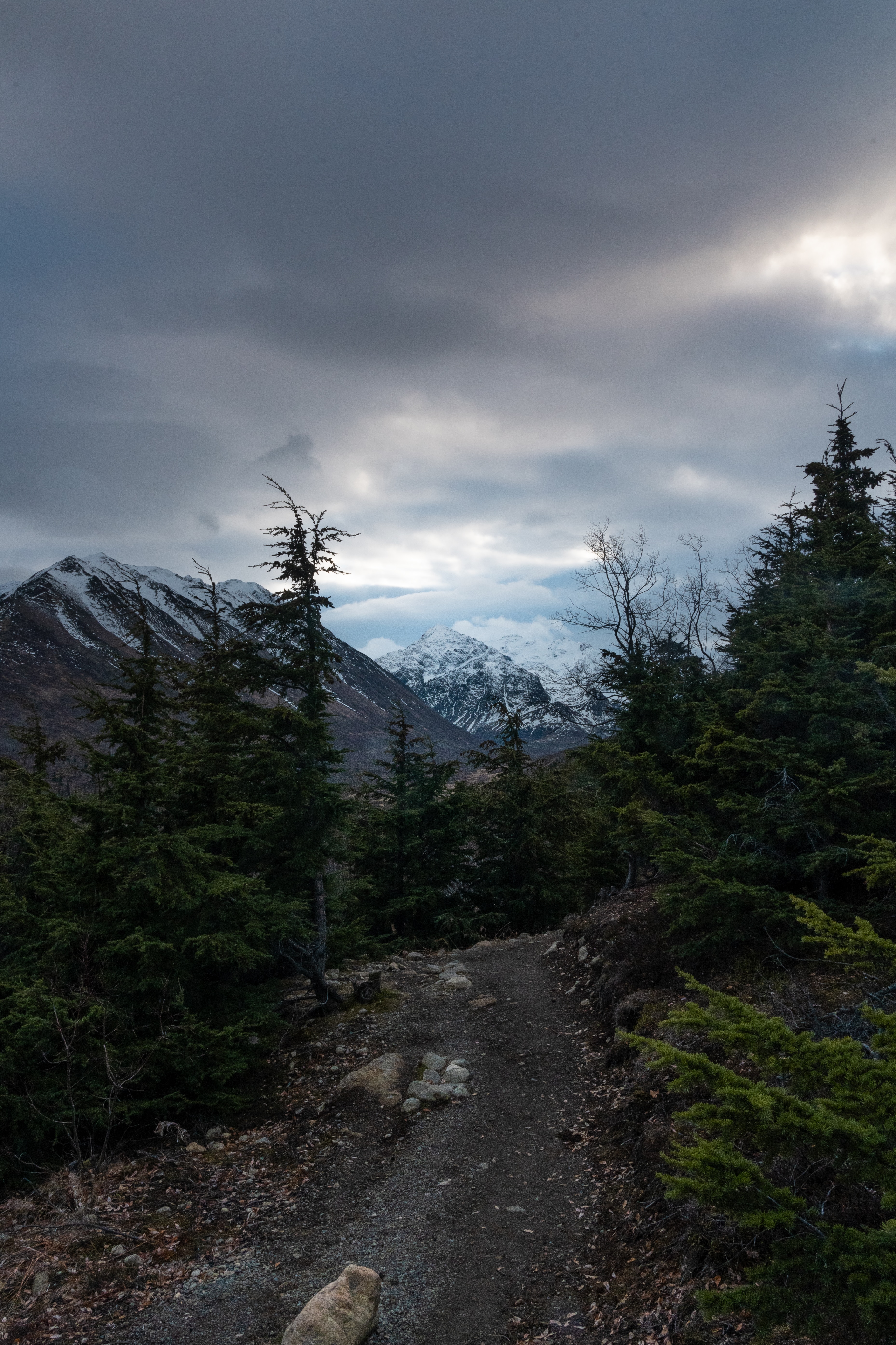 Descarga gratis la imagen Naturaleza, Montañas, Camino, Árboles en el escritorio de tu PC