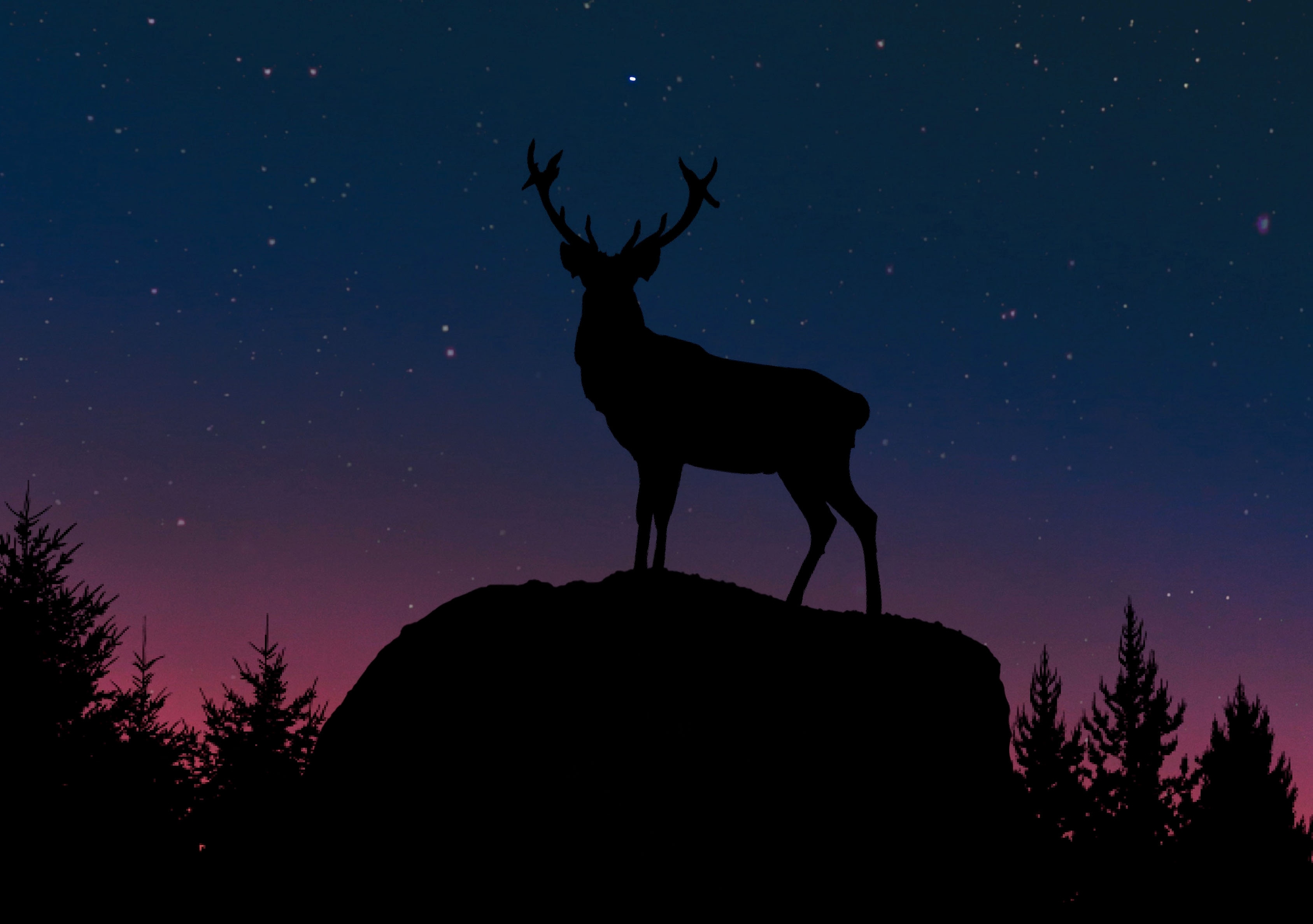 Download mobile wallpaper Silhouette, Animal, Deer for free.