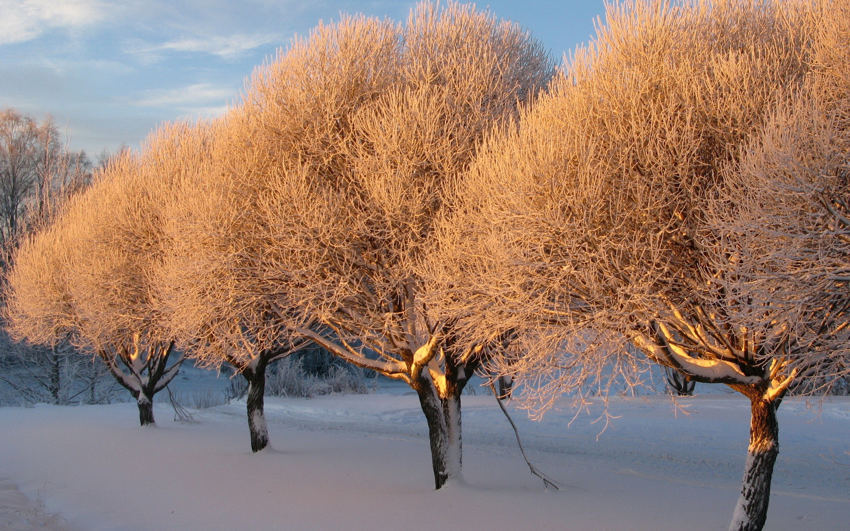 Free download wallpaper Winter, Earth on your PC desktop