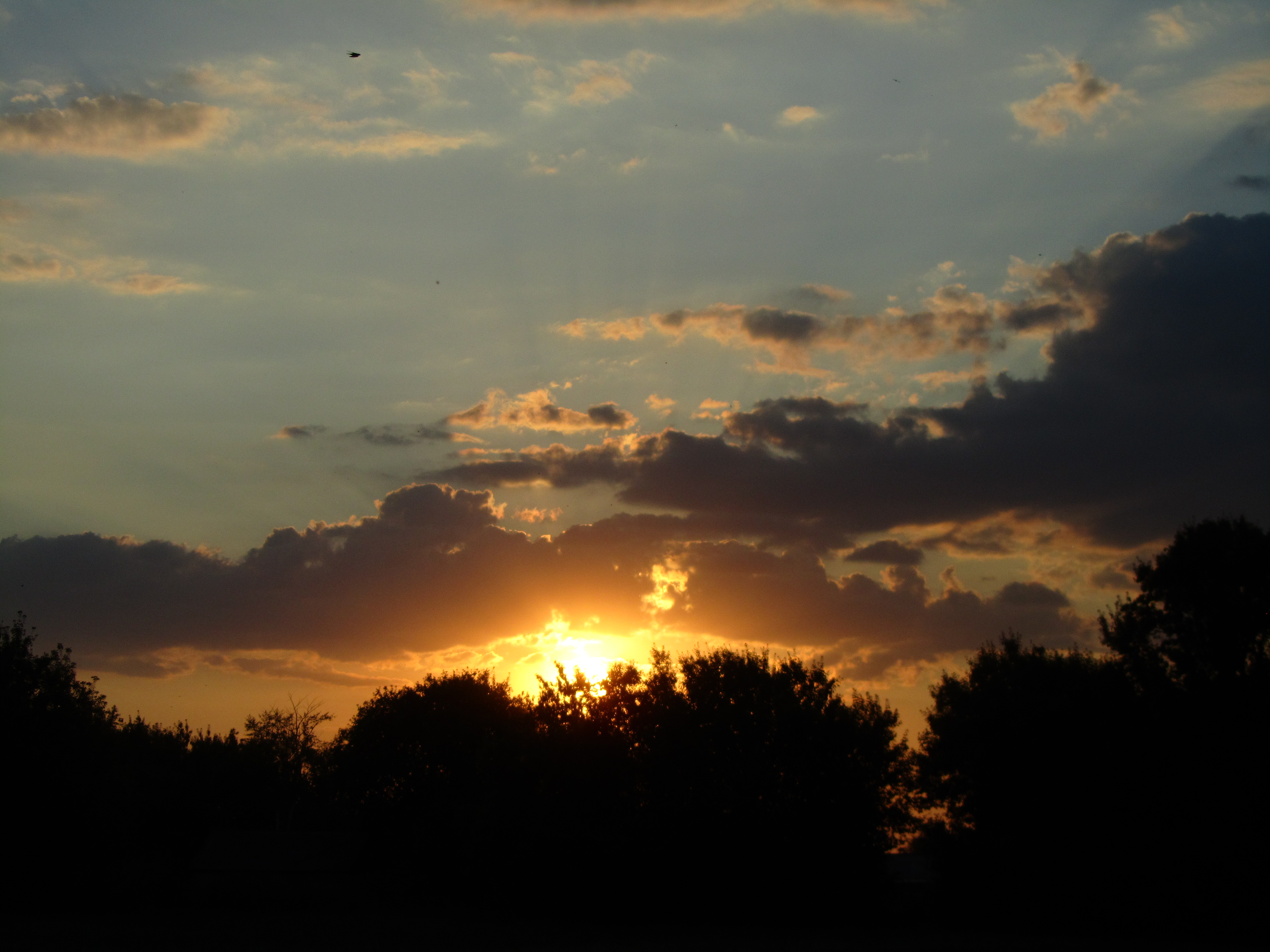 Laden Sie das Sonnenuntergang, Erde/natur-Bild kostenlos auf Ihren PC-Desktop herunter