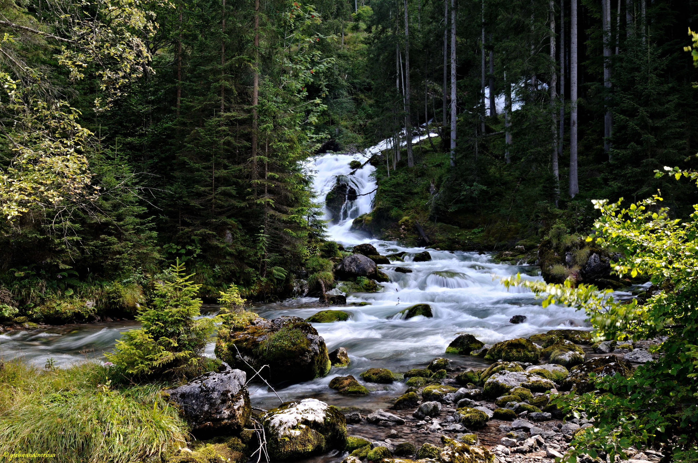 Download mobile wallpaper Stream, Waterfall, Waterfalls, Forest, Earth for free.