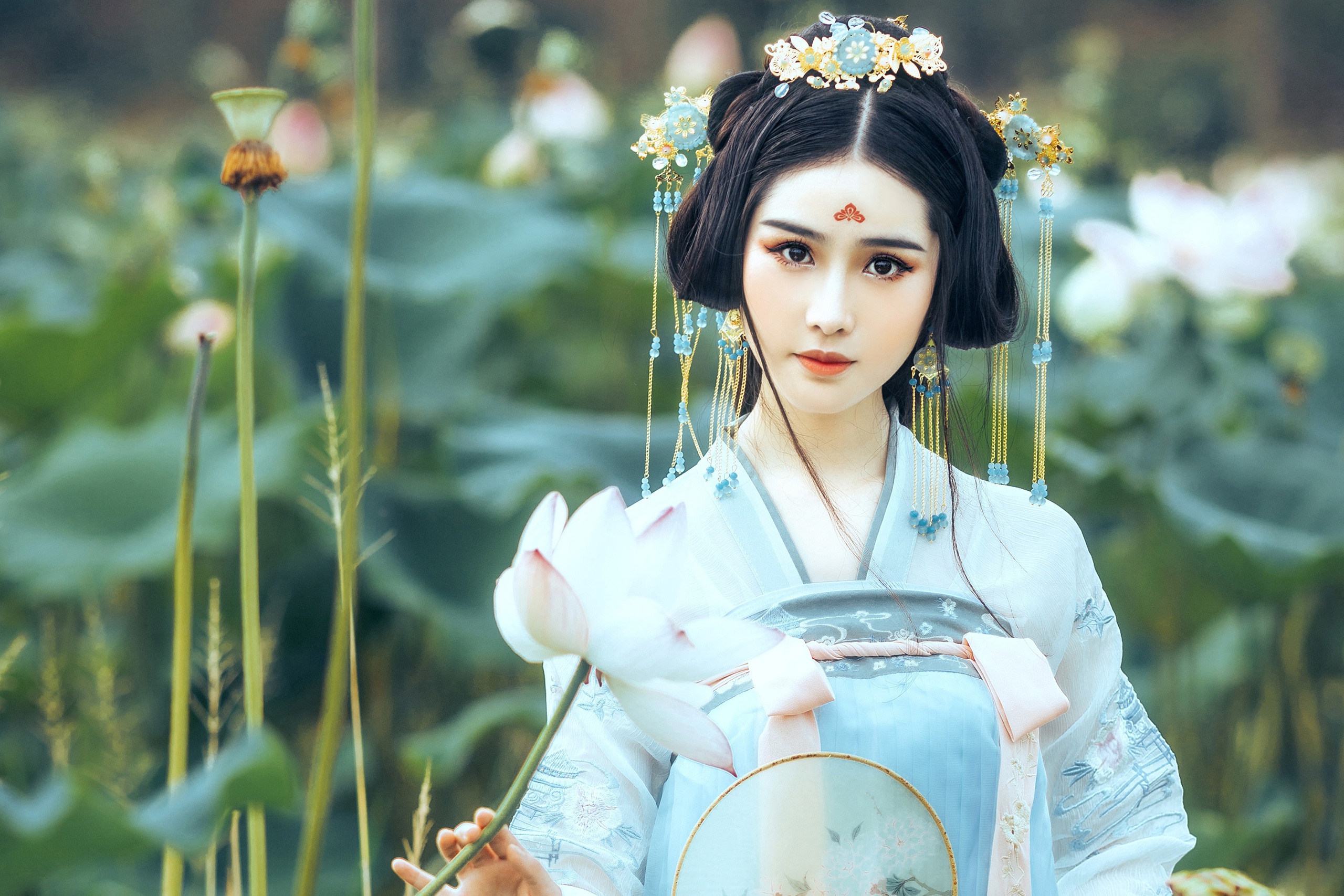 Laden Sie das Kimono, Gesicht, Modell, Frauen, Braune Augen, Schwarzes Haar, Asiatinnen, Tiefenschärfe-Bild kostenlos auf Ihren PC-Desktop herunter