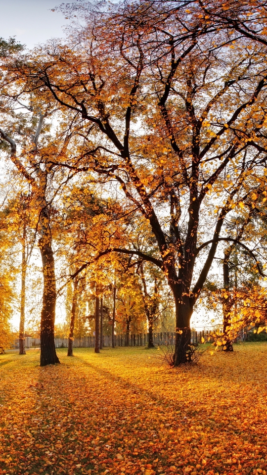 Скачать картинку Пейзаж, Природа, Осень, Парк, Дерево, Лист, Листва, Ландшафт, Фотографии, Падать в телефон бесплатно.
