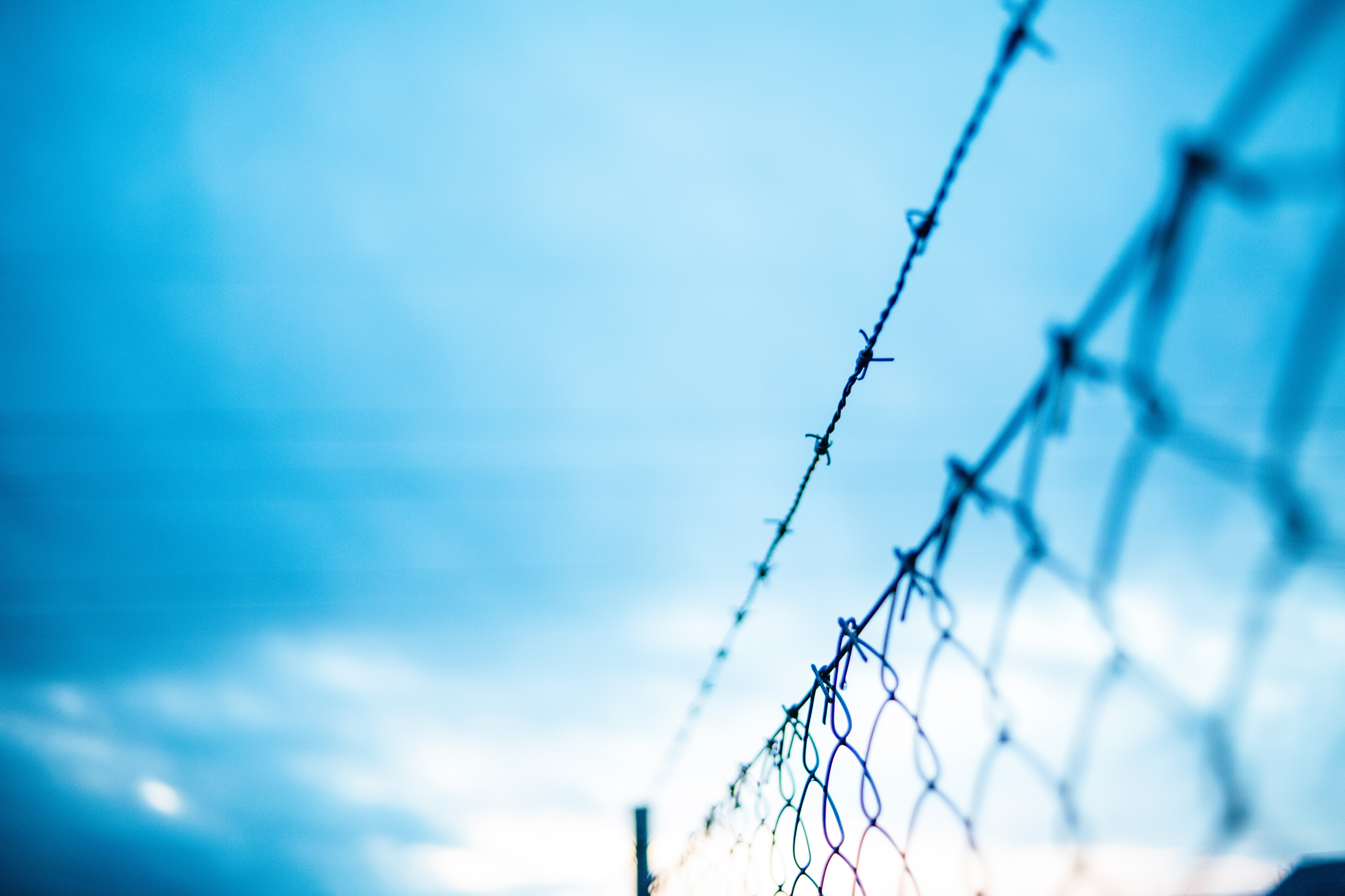 macro, grid, fence, barbed, spiny, fencing, enclosure, barbed wire