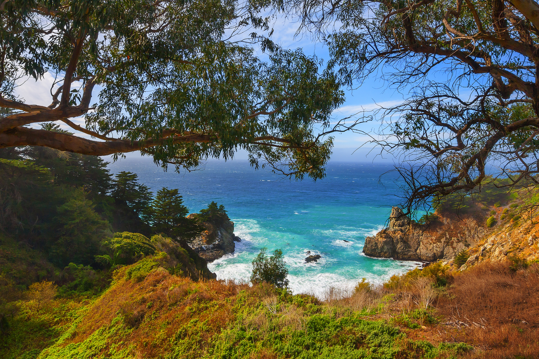 Скачать картинку Море, Дерево, Океан, Калифорния, Береговая Линия, Биг Сур, Земля/природа, Утёс в телефон бесплатно.