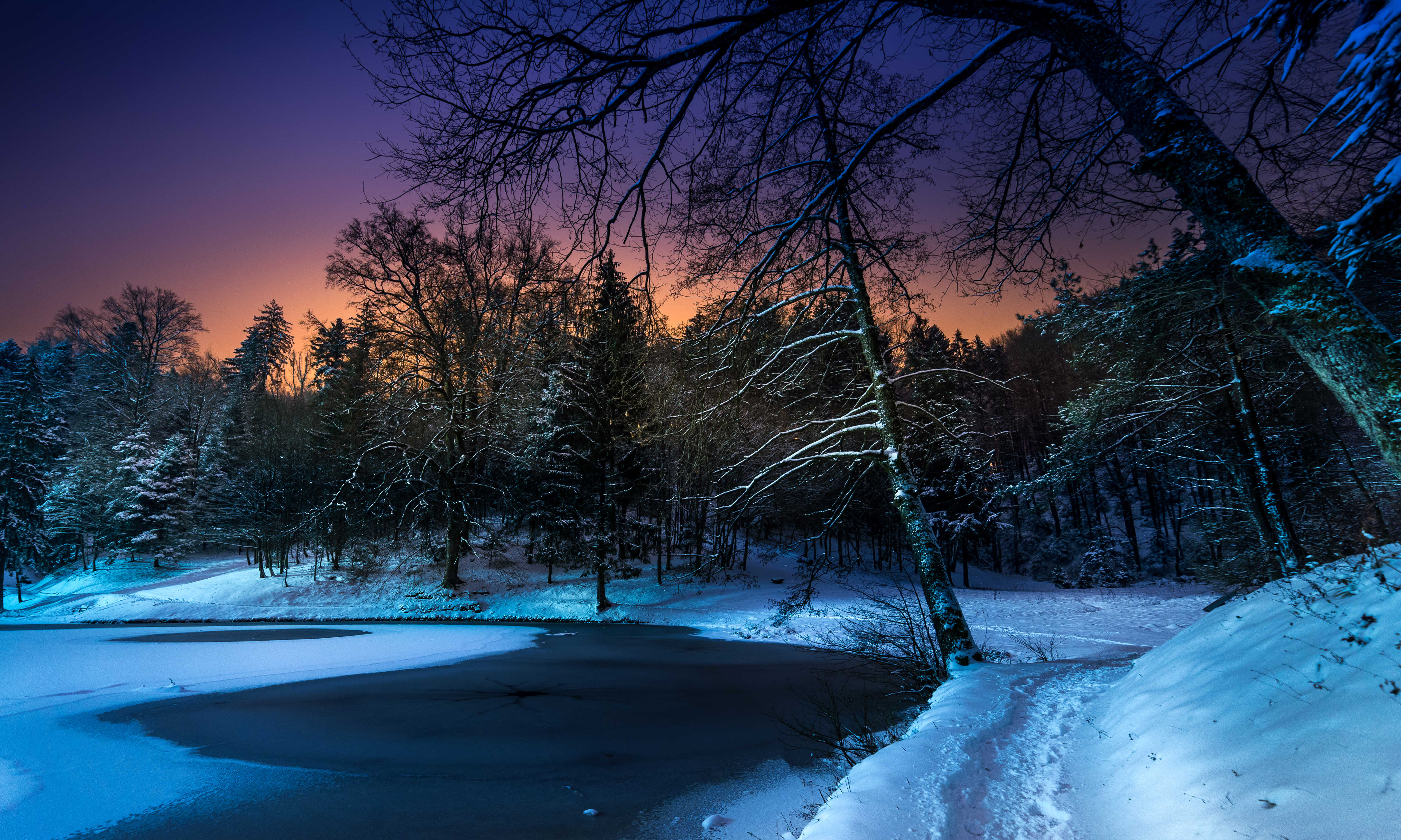 Download mobile wallpaper Winter, Snow, Tree, Earth, Pond, Frozen for free.