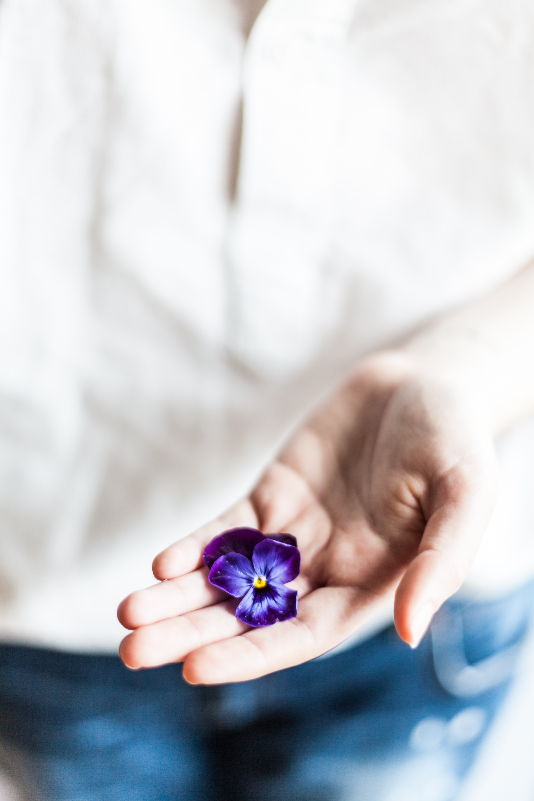 Download mobile wallpaper Flower, Palm, Flowers, Hand, Violet, Fingers, Purple for free.
