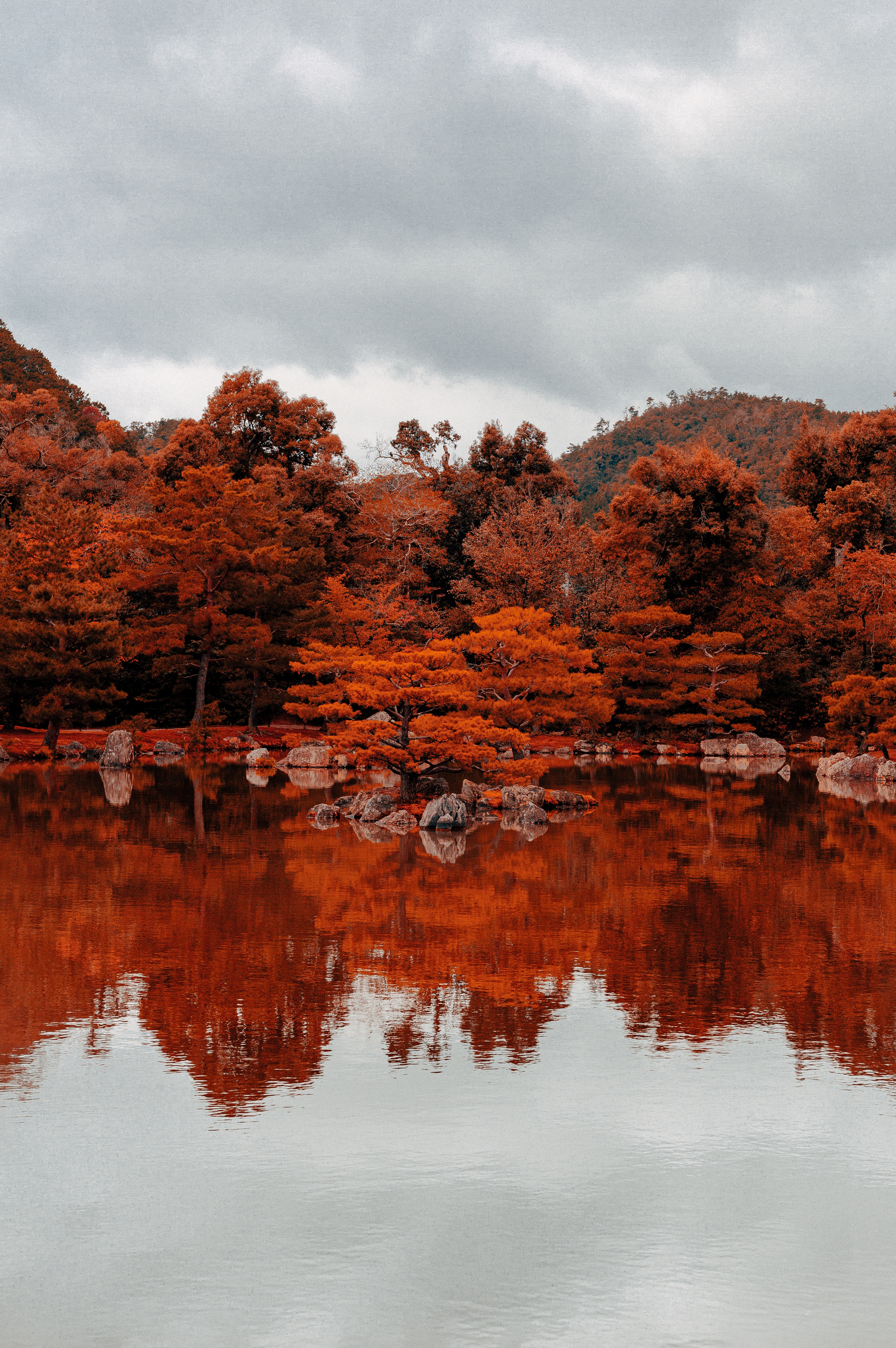 115594 télécharger l'image automne, nature, arbres, lac, réflexion - fonds d'écran et économiseurs d'écran gratuits