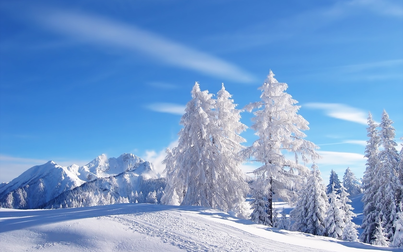 9452 télécharger l'image paysage, hiver, arbres, bleu - fonds d'écran et économiseurs d'écran gratuits