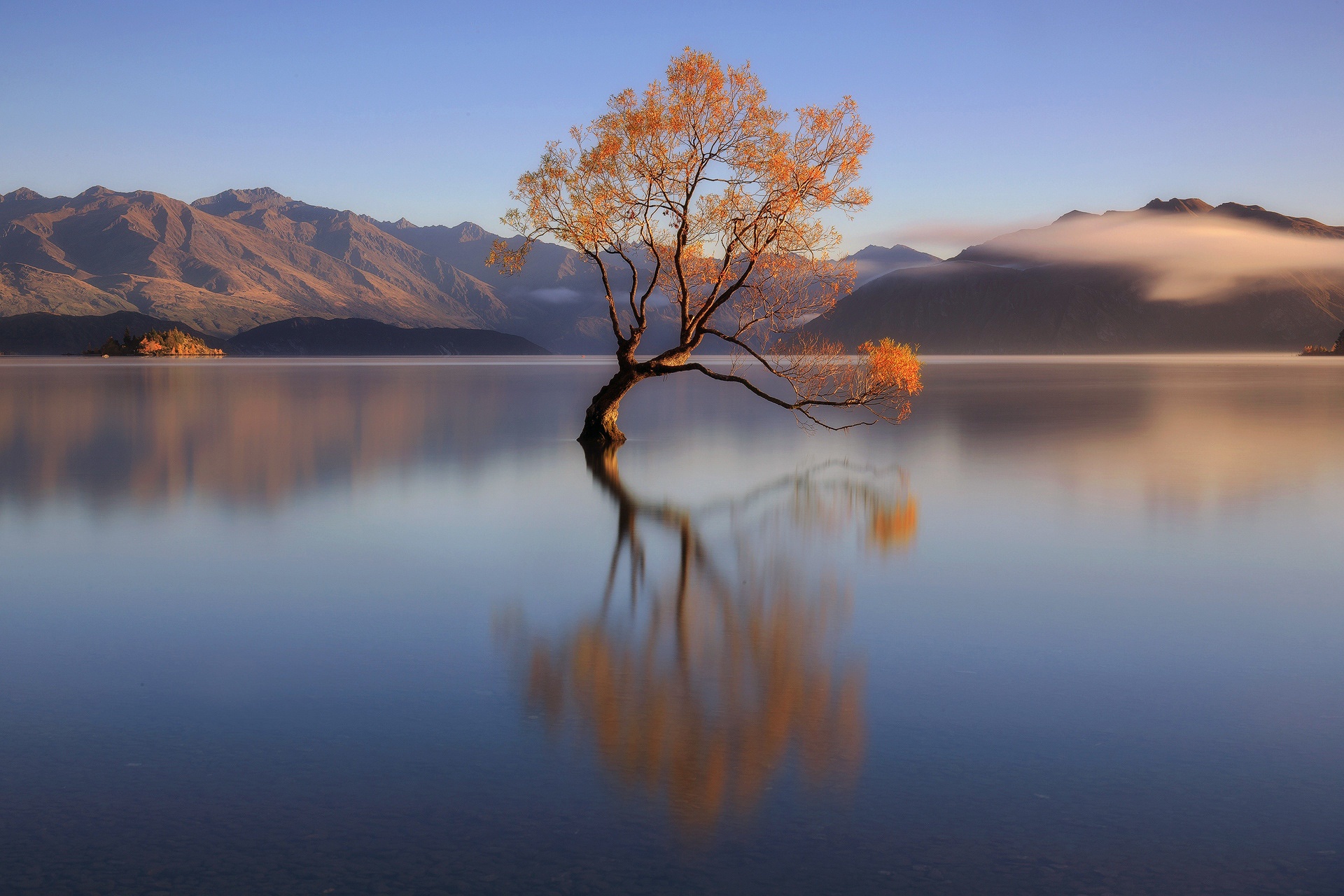Free download wallpaper Nature, Trees, Mountain, Lake, Reflection, Tree, Earth, Lonely Tree on your PC desktop