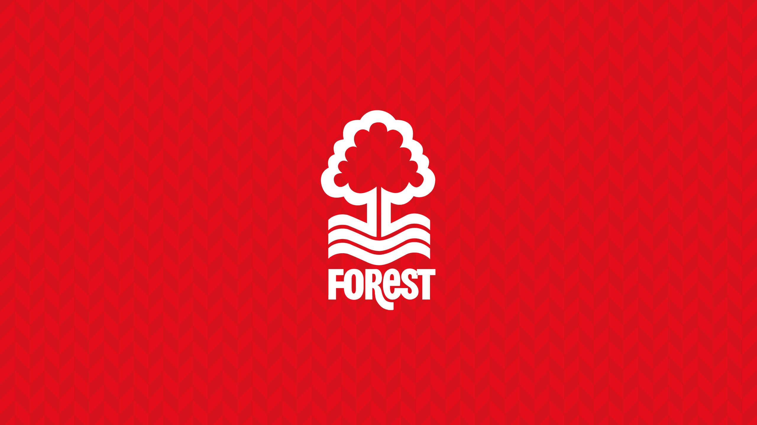 Baixar papel de parede para celular de Esportes, Futebol, Logotipo, Emblema, Nottingham Forest F C gratuito.