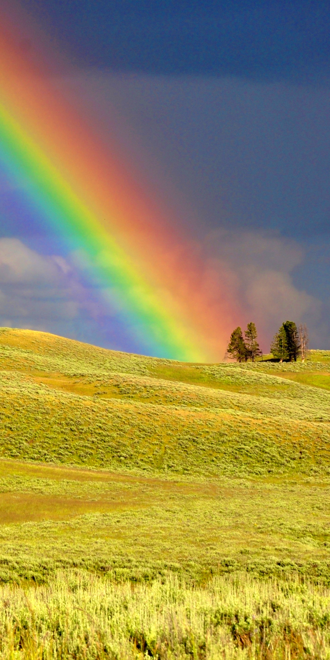 Download mobile wallpaper Rainbow, Earth, Field for free.