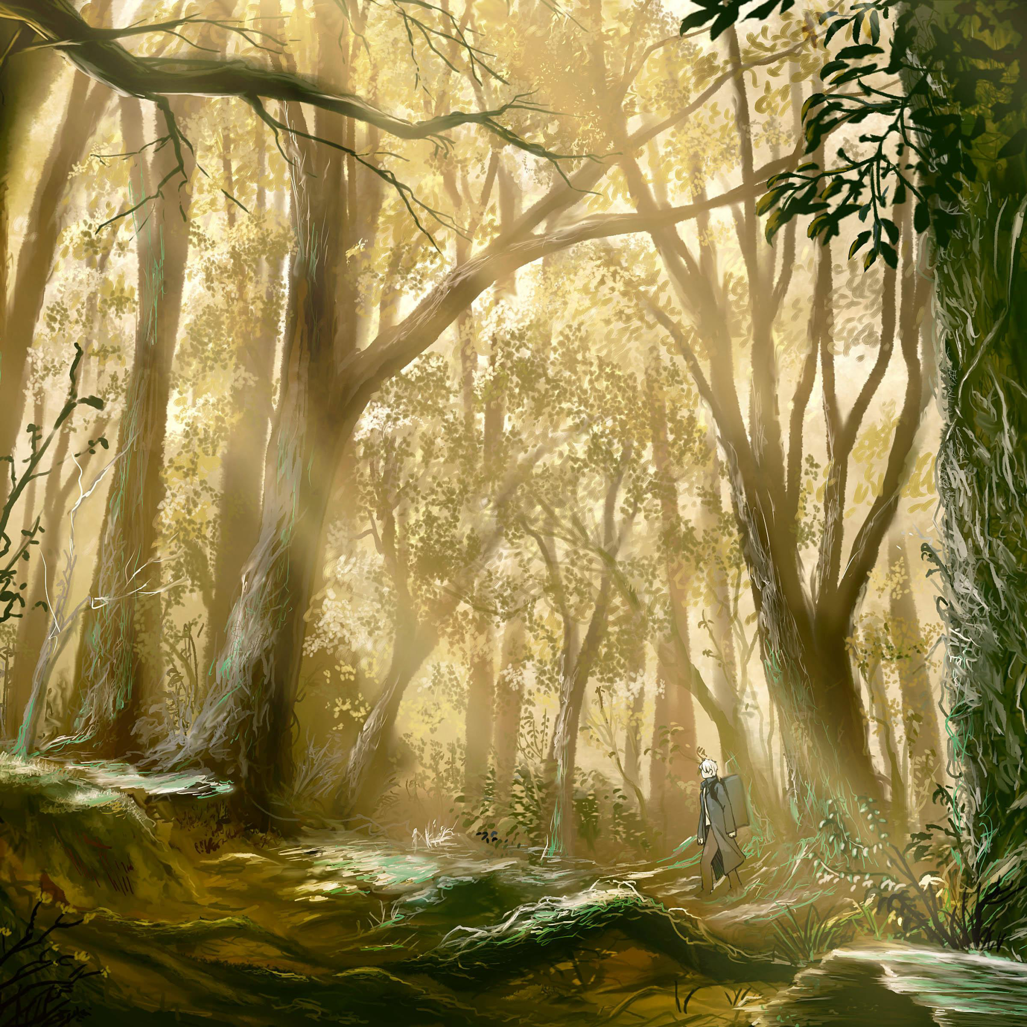 Laden Sie das Wald, Animes, Ginko (Mushishi), Musisch-Bild kostenlos auf Ihren PC-Desktop herunter