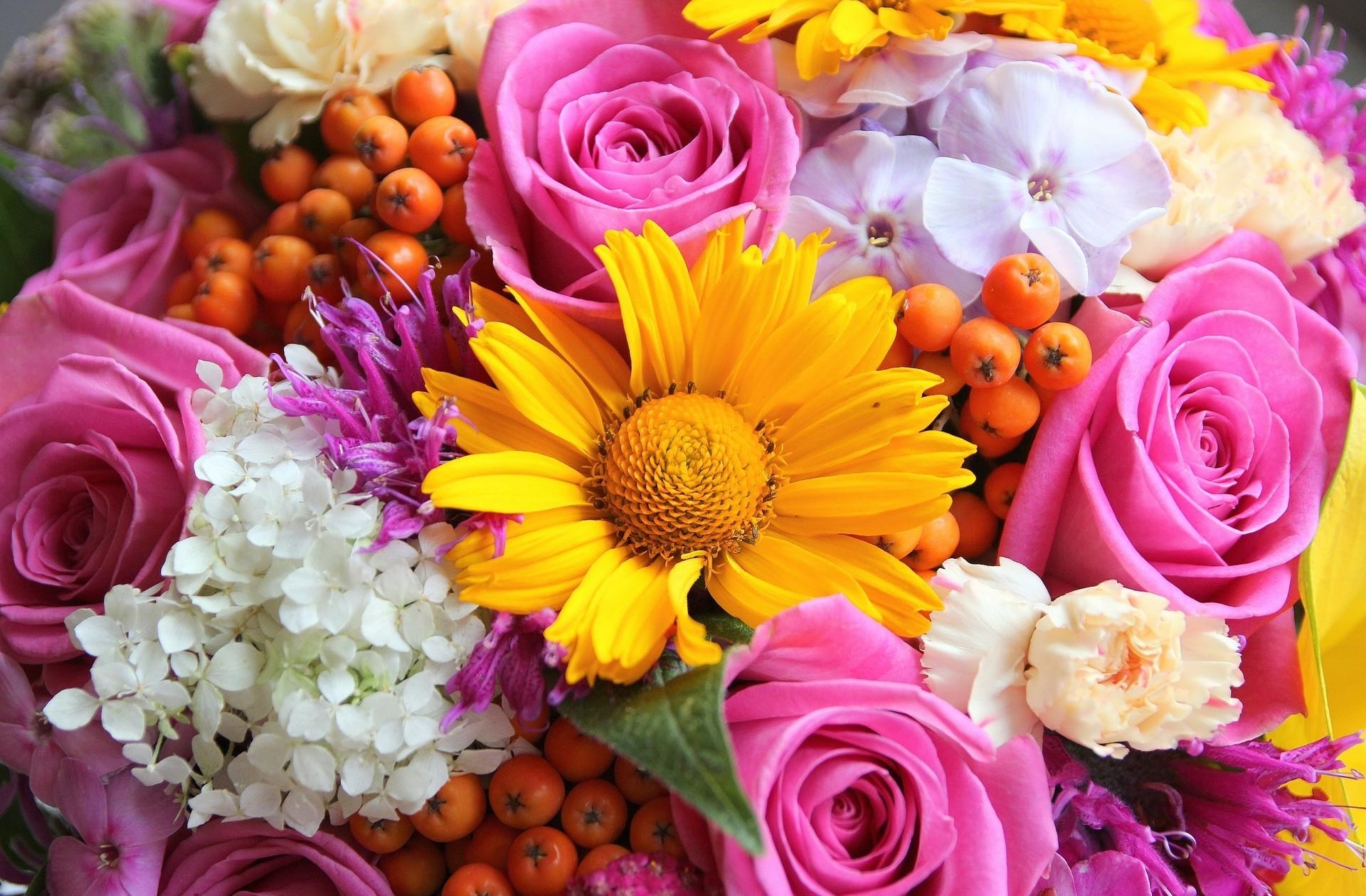 bouquet, flowers, roses, gerberas, close up, rowan, phlox
