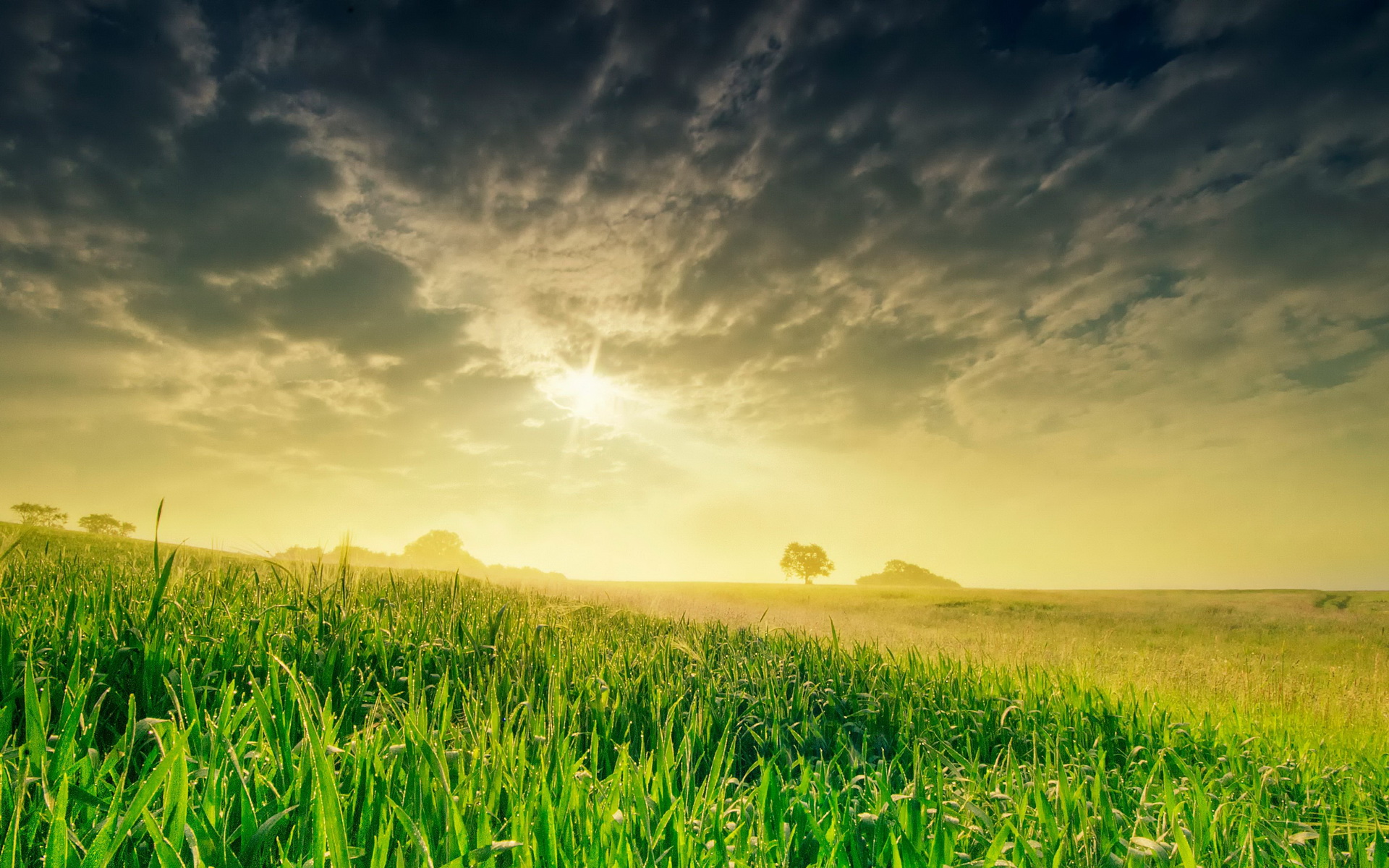 Free download wallpaper Earth, Field on your PC desktop