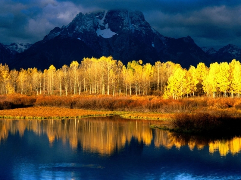 無料モバイル壁紙木, 山脈, 湖, 自然, 風景をダウンロードします。