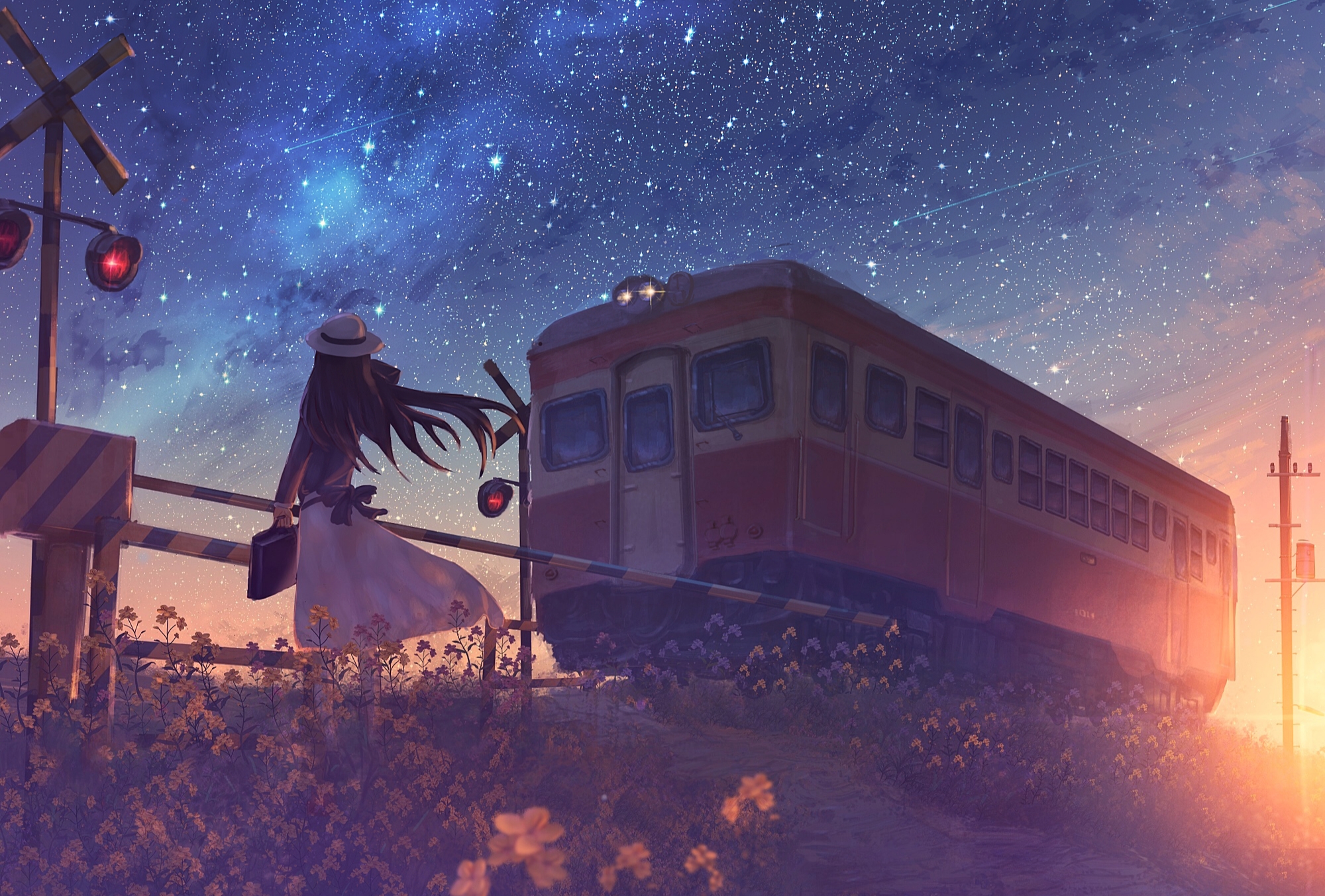 Laden Sie das Zug, Sternschnuppe, Sonnenuntergang, Animes, Sternenklarer Himmel-Bild kostenlos auf Ihren PC-Desktop herunter