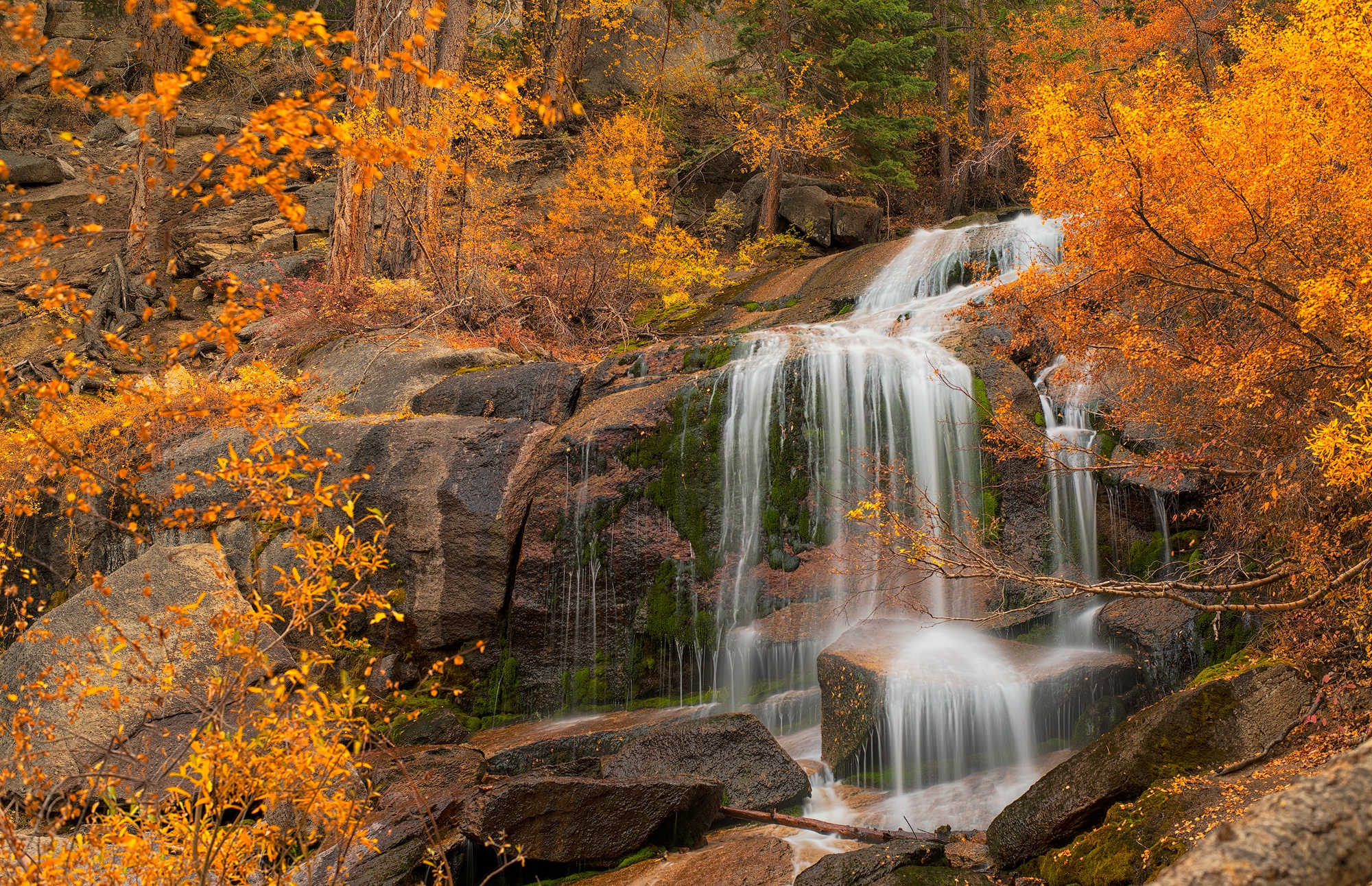 Скачать картинку Осень, Водопады, Водопад, Калифорния, Земля/природа в телефон бесплатно.