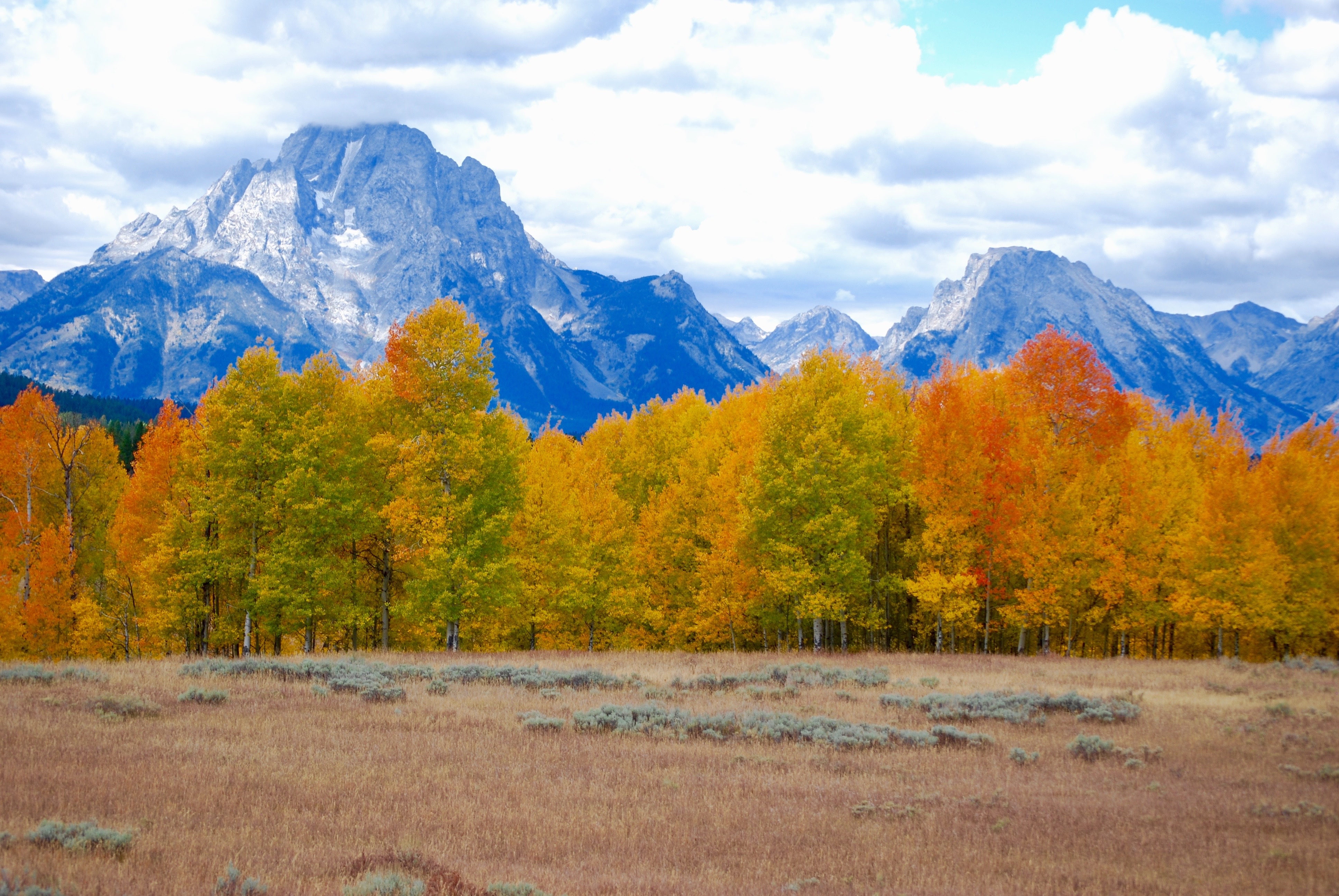 無料モバイル壁紙自然, 木, 山脈, 秋をダウンロードします。