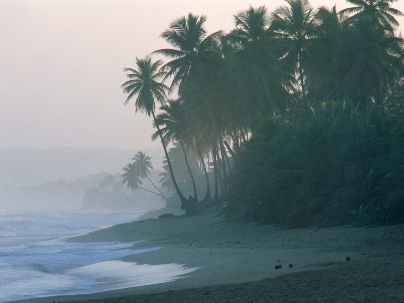 Free download wallpaper Landscape, Waves, Beach, Palms on your PC desktop