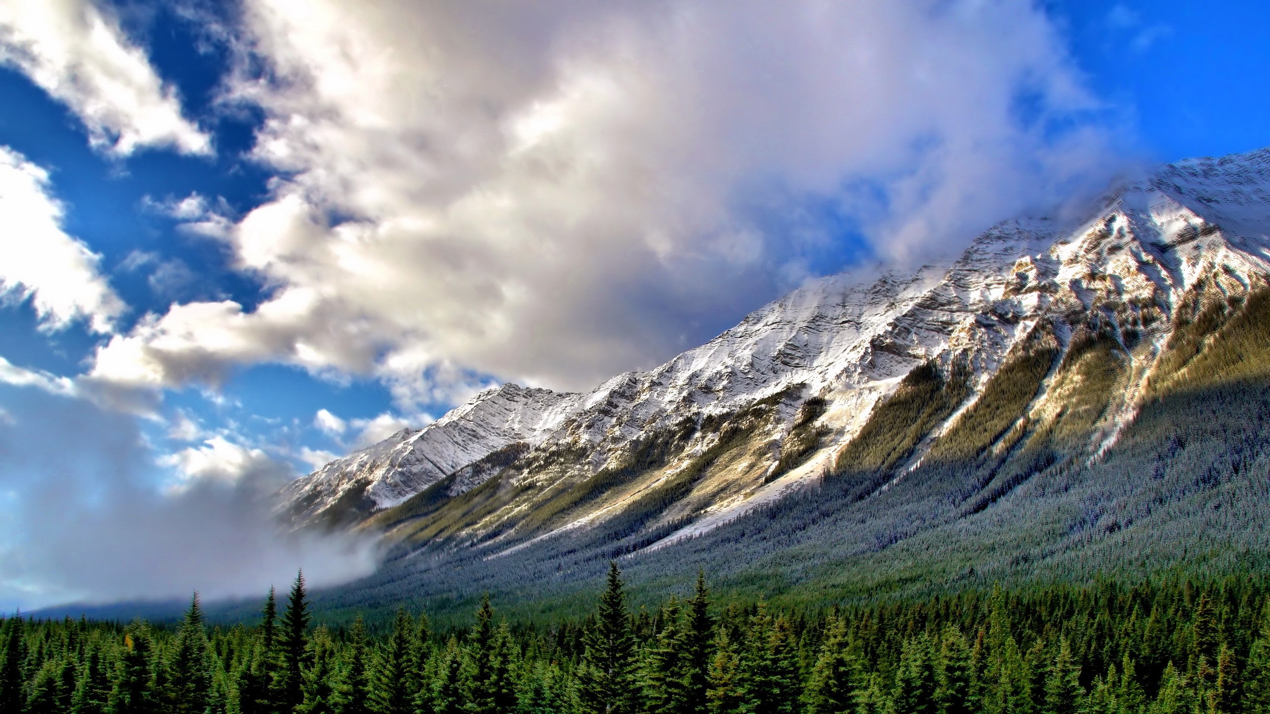 Descarga gratis la imagen Paisaje, Naturaleza, Montañas, Montaña, Bosque, Nube, Tierra/naturaleza en el escritorio de tu PC