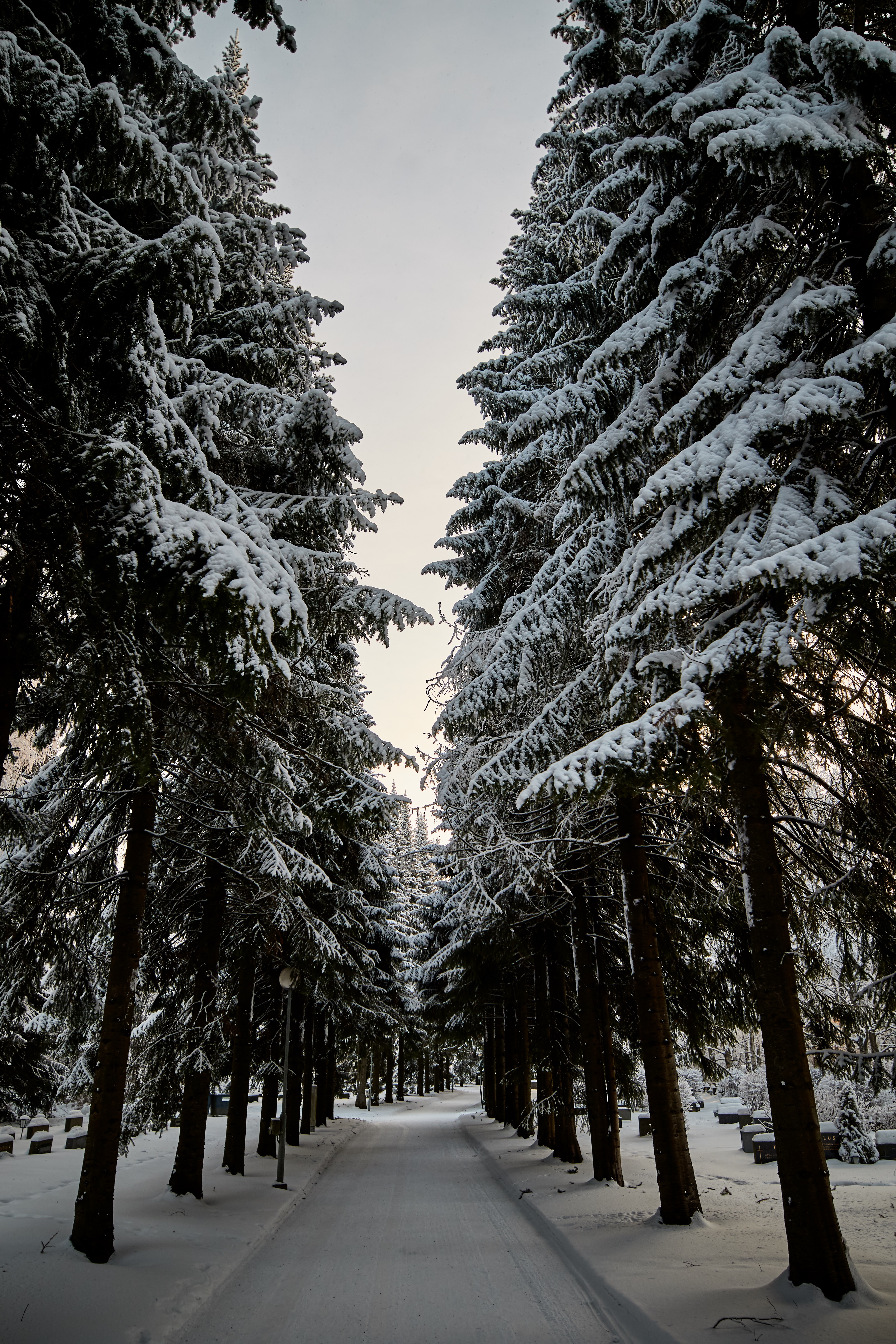 Download mobile wallpaper Snow, Winter, Road, Trees, Fir Trees, Nature for free.