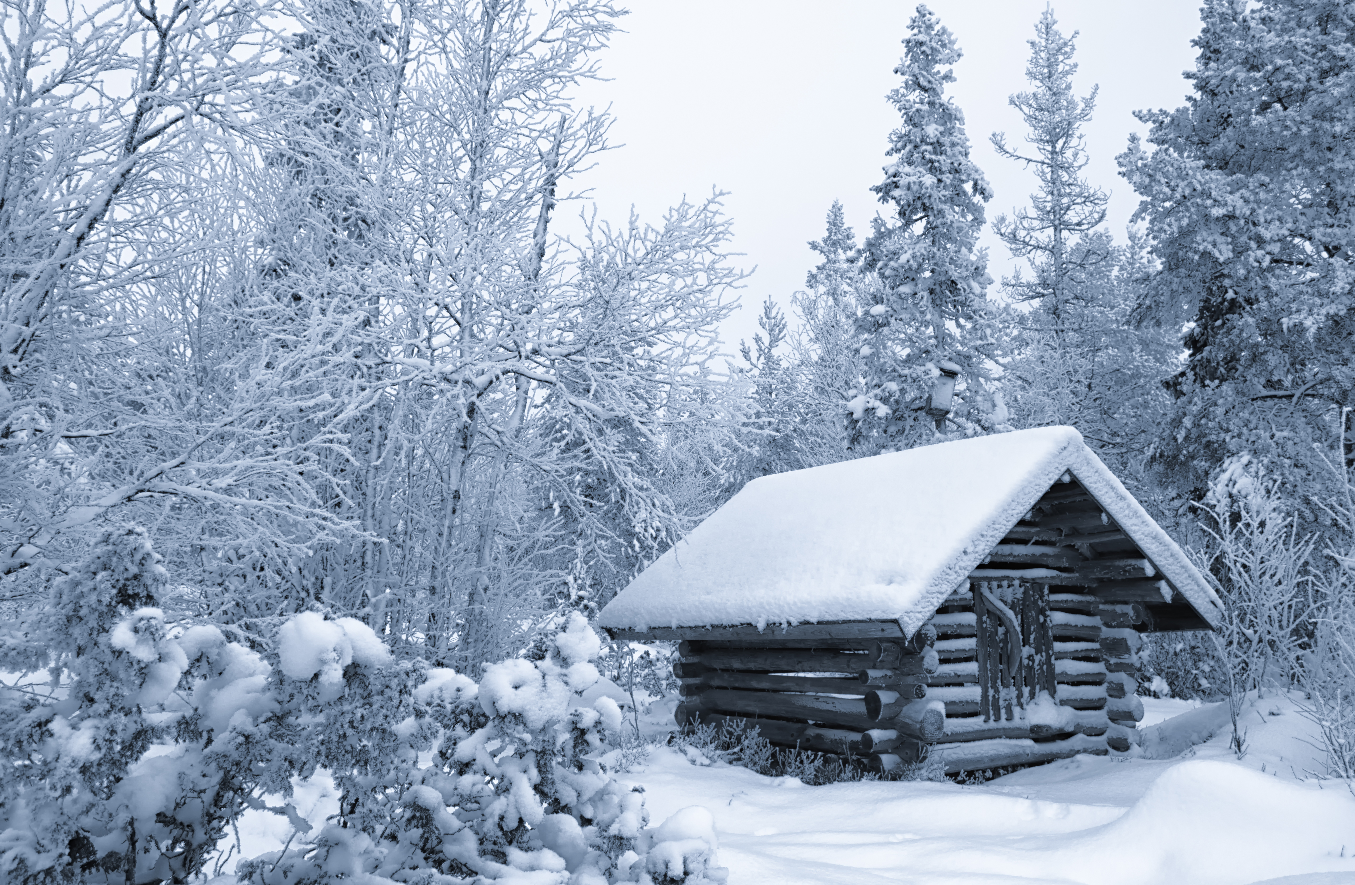 Download mobile wallpaper Winter, Snow, Forest, Tree, Cabin, Man Made for free.