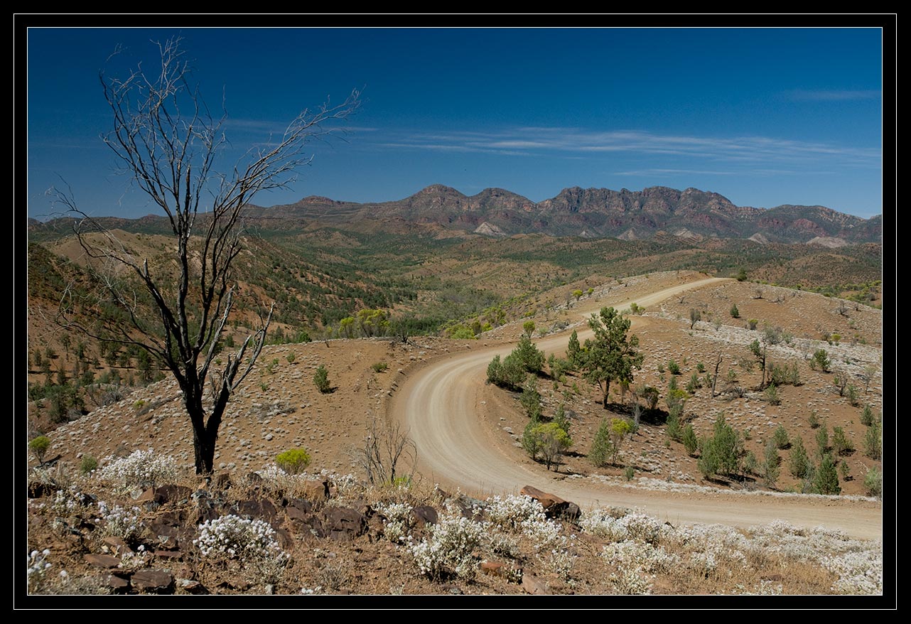 Die besten Flinders Ranges-Hintergründe für den Telefonbildschirm