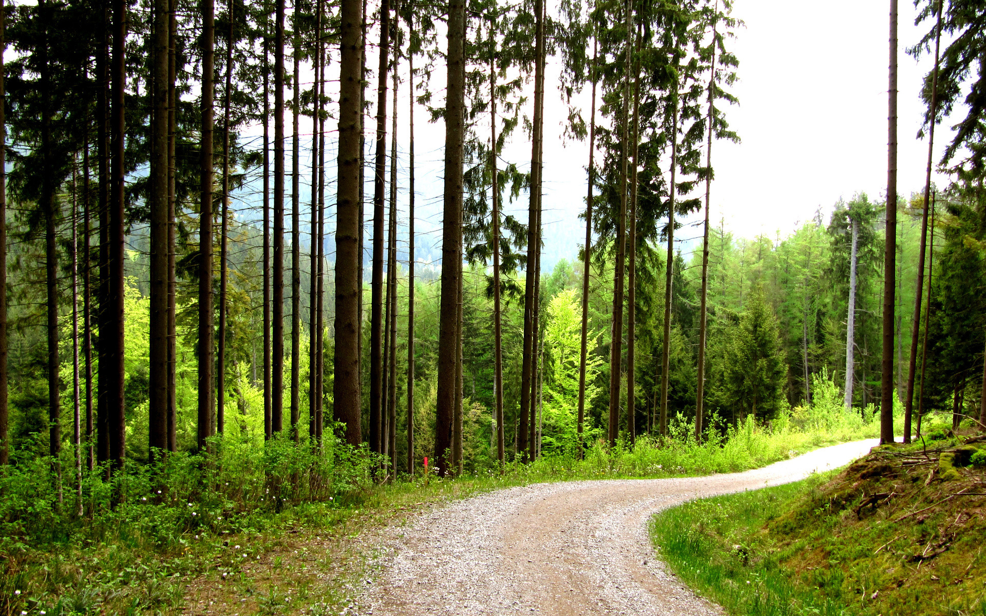 Descarga gratuita de fondo de pantalla para móvil de Camino, Tierra/naturaleza.