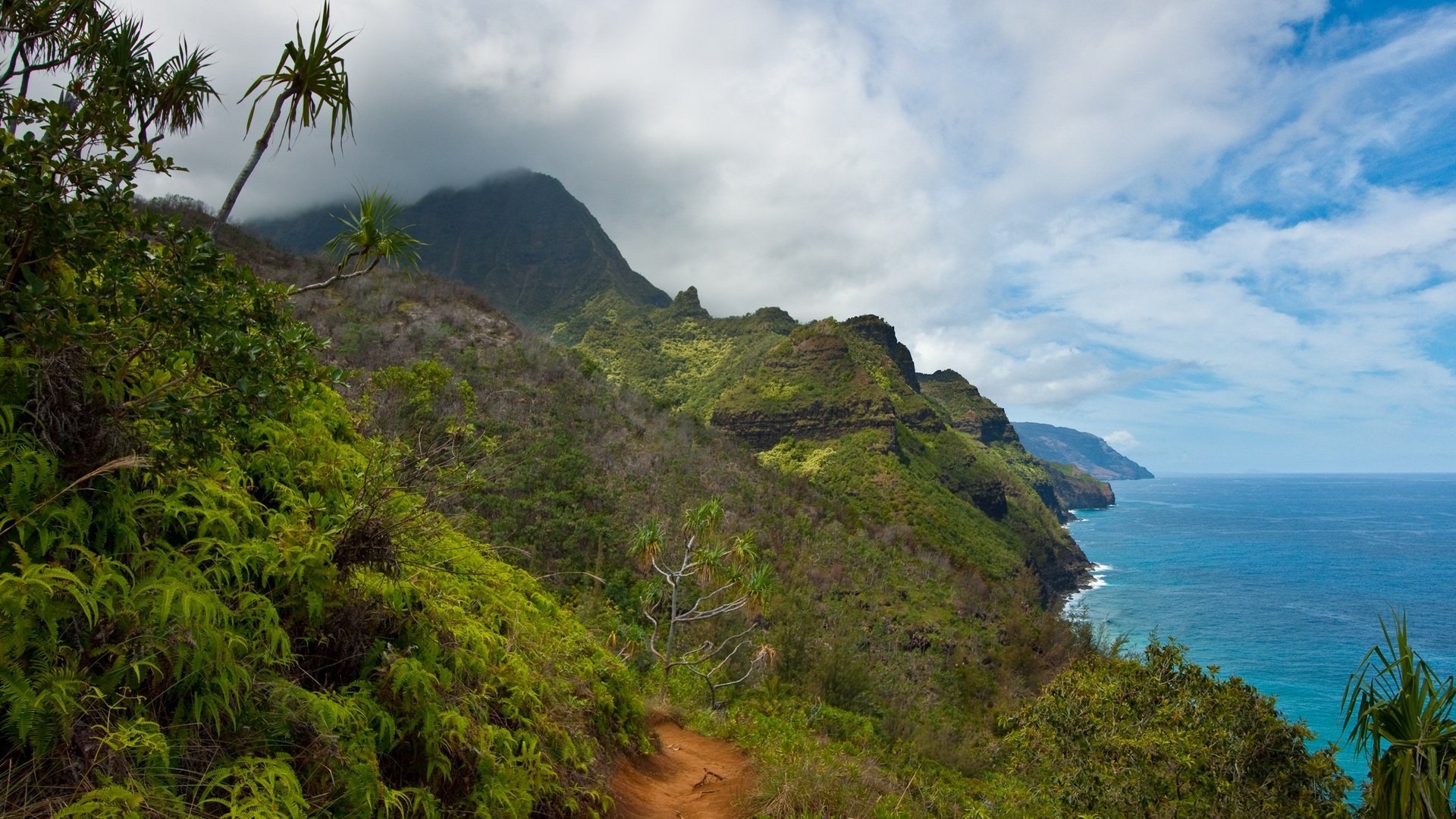 Download mobile wallpaper Horizon, Tree, Ocean, Earth, Cloud, Hawaii, Coastline for free.