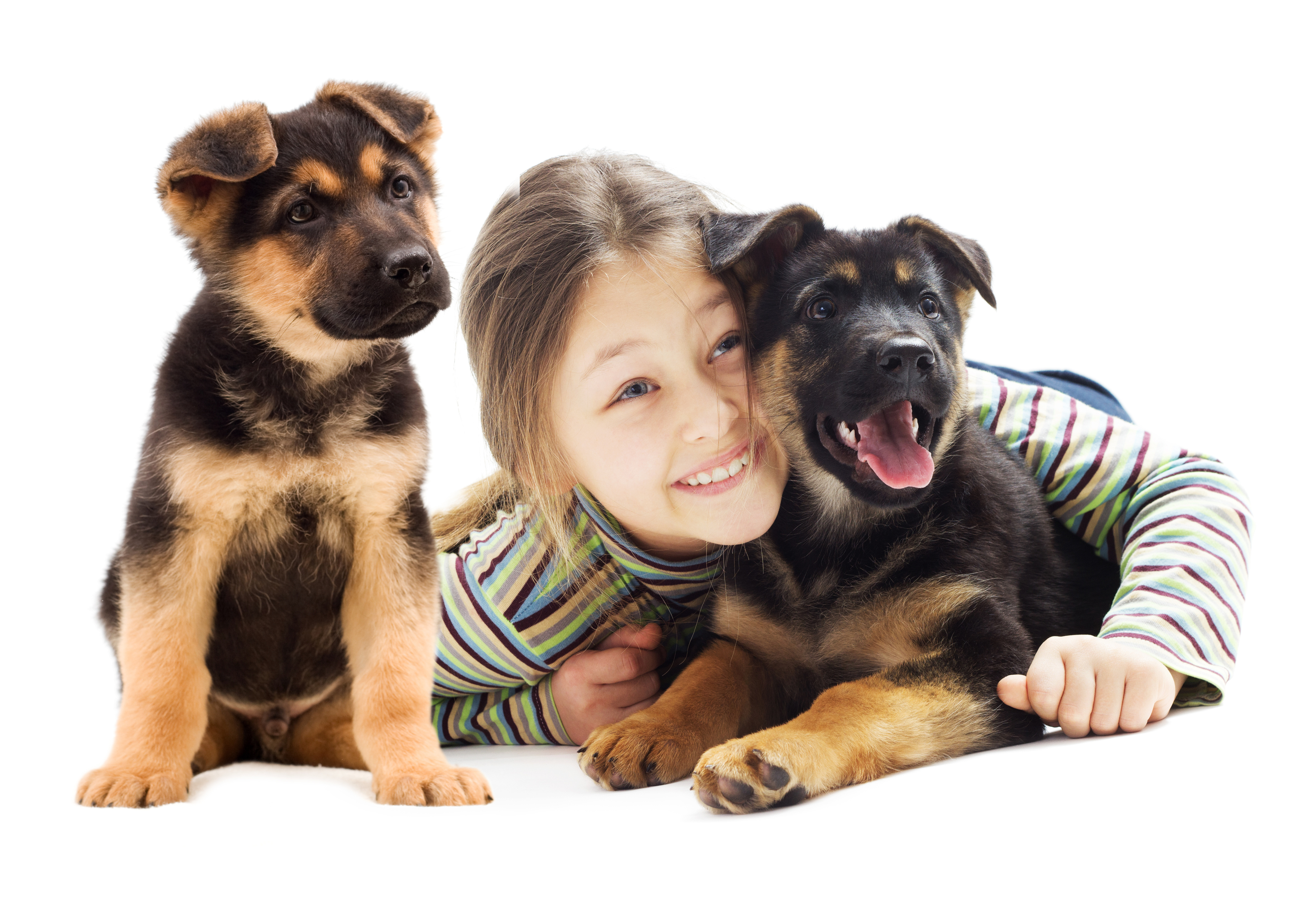 PCデスクトップに子犬, 子, 笑顔, 写真撮影, 少女画像を無料でダウンロード
