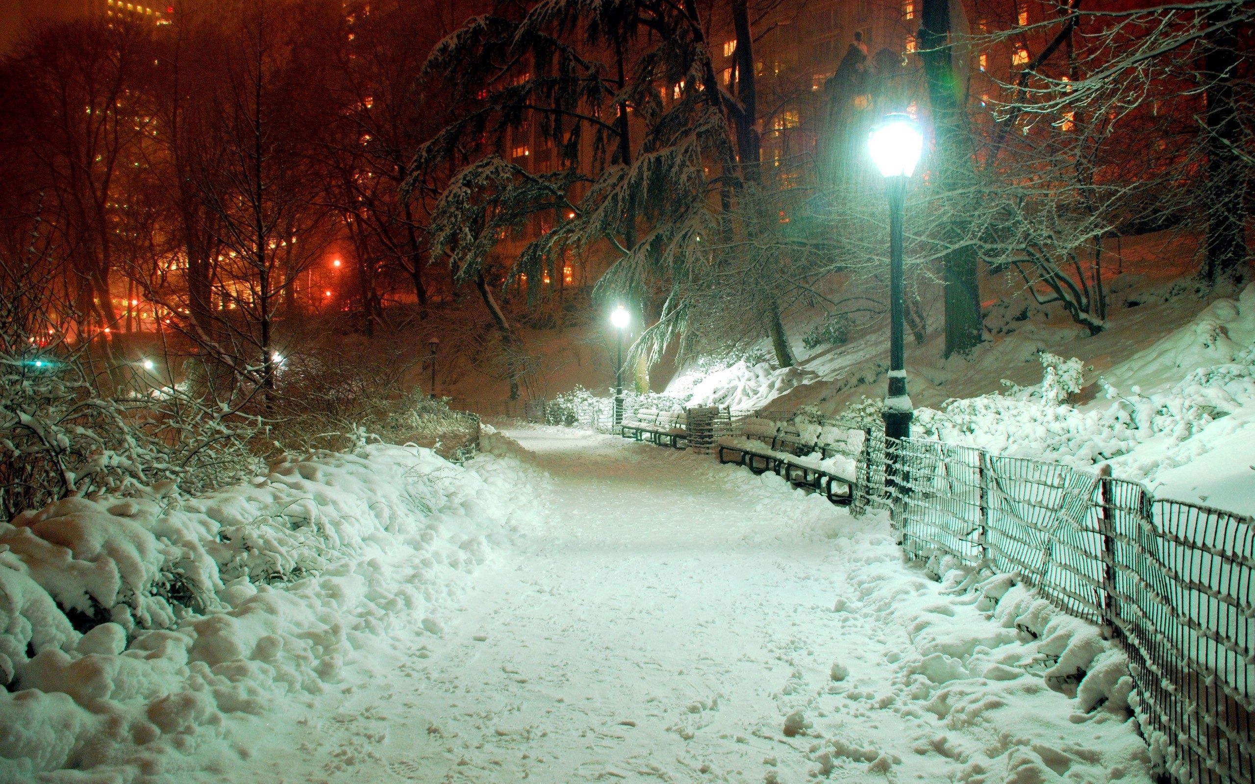 winter, lantern, lamp, nature, shine, light, park, drifts, january
