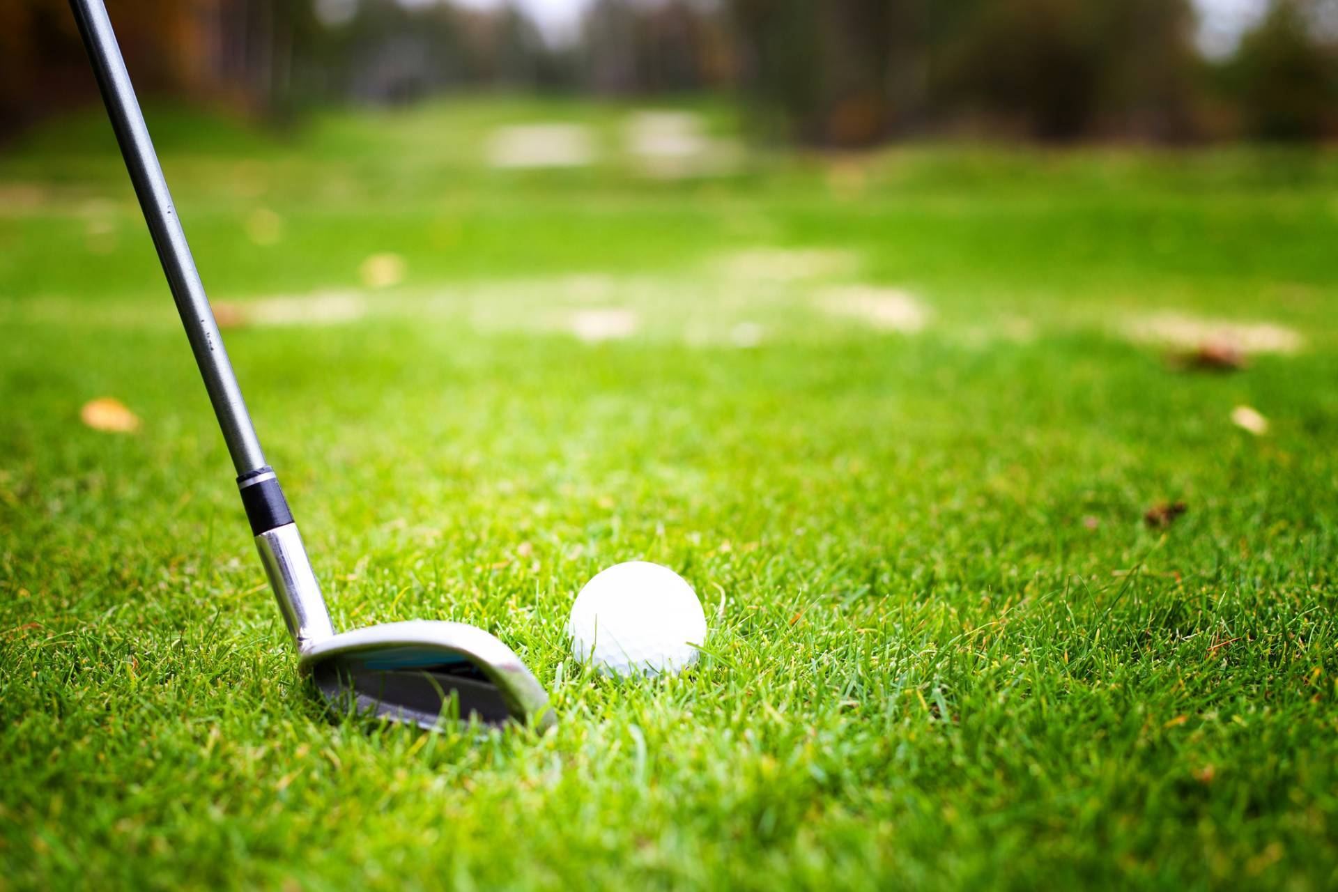 Free download wallpaper Sports, Grass, Golf, Close Up on your PC desktop