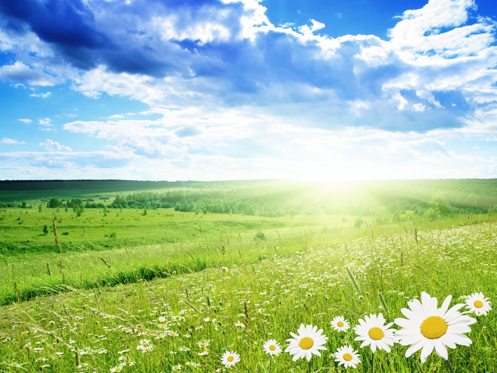 Free download wallpaper Landscape, Flowers, Sky, Sun on your PC desktop