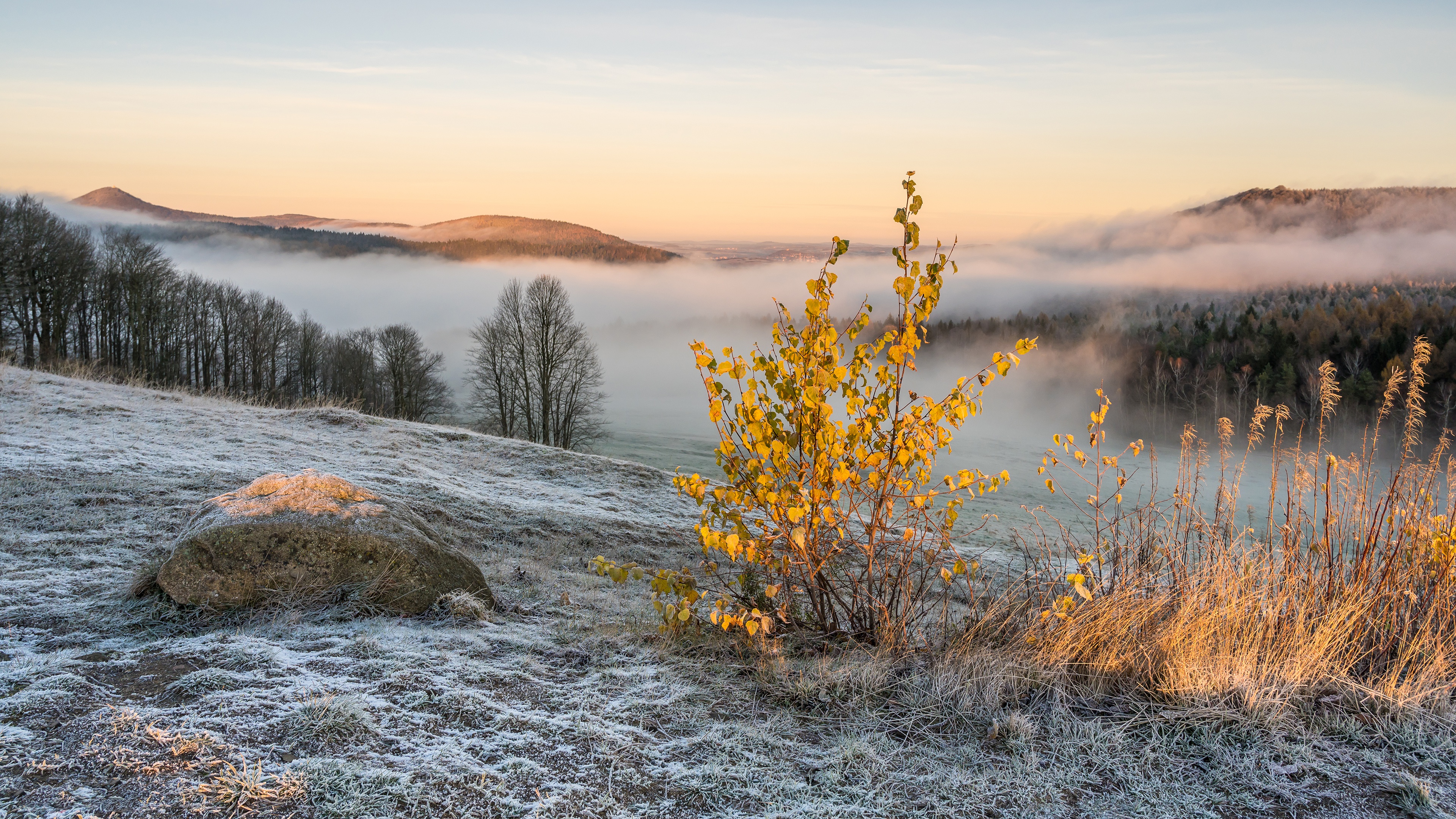 Descarga gratis la imagen Invierno, Nieve, Arbusto, Montaña, Niebla, Tierra/naturaleza en el escritorio de tu PC