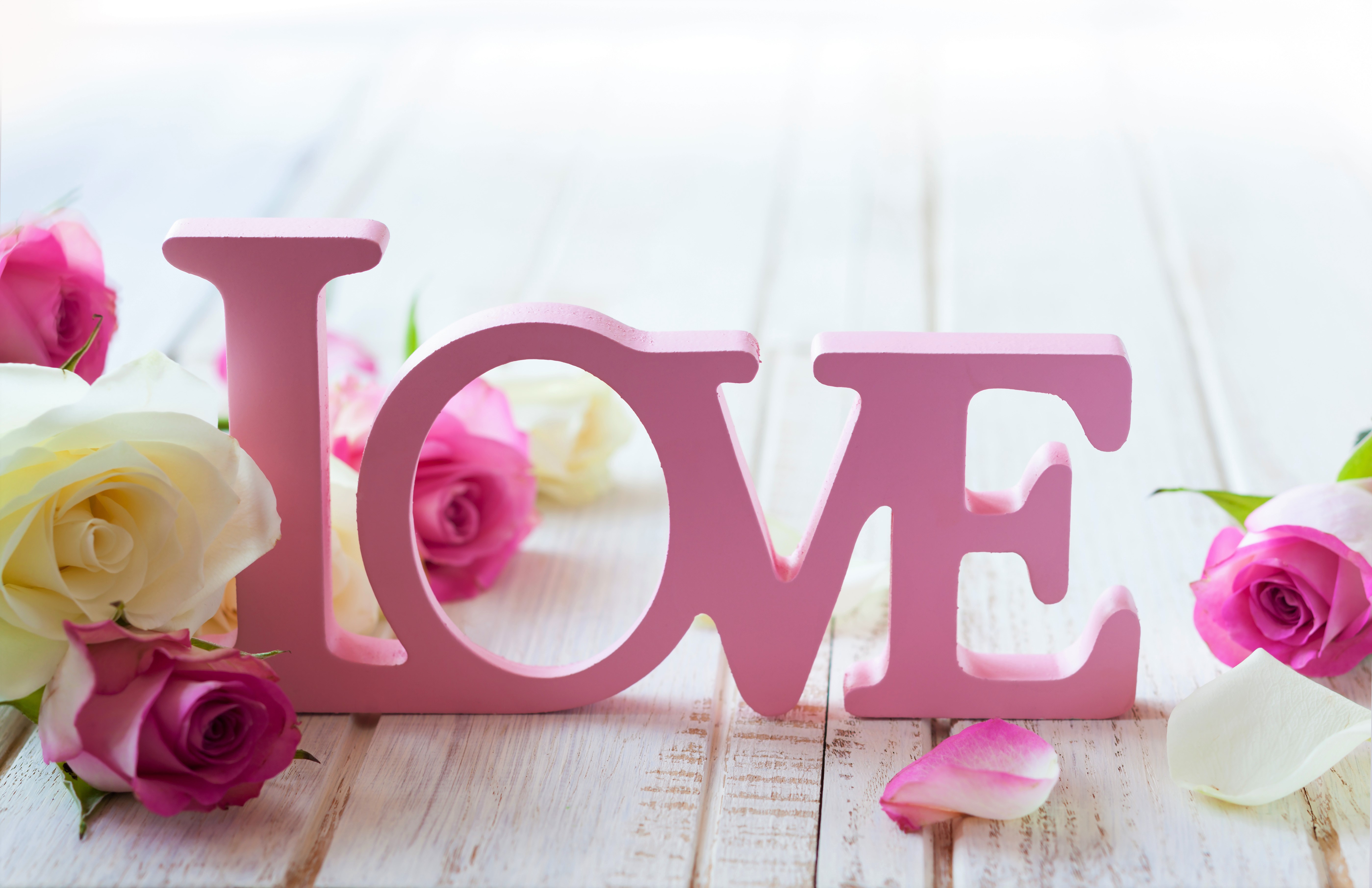 Download mobile wallpaper Pink, Love, Wood, Word, Artistic, Petal, White Rose, Pink Rose for free.