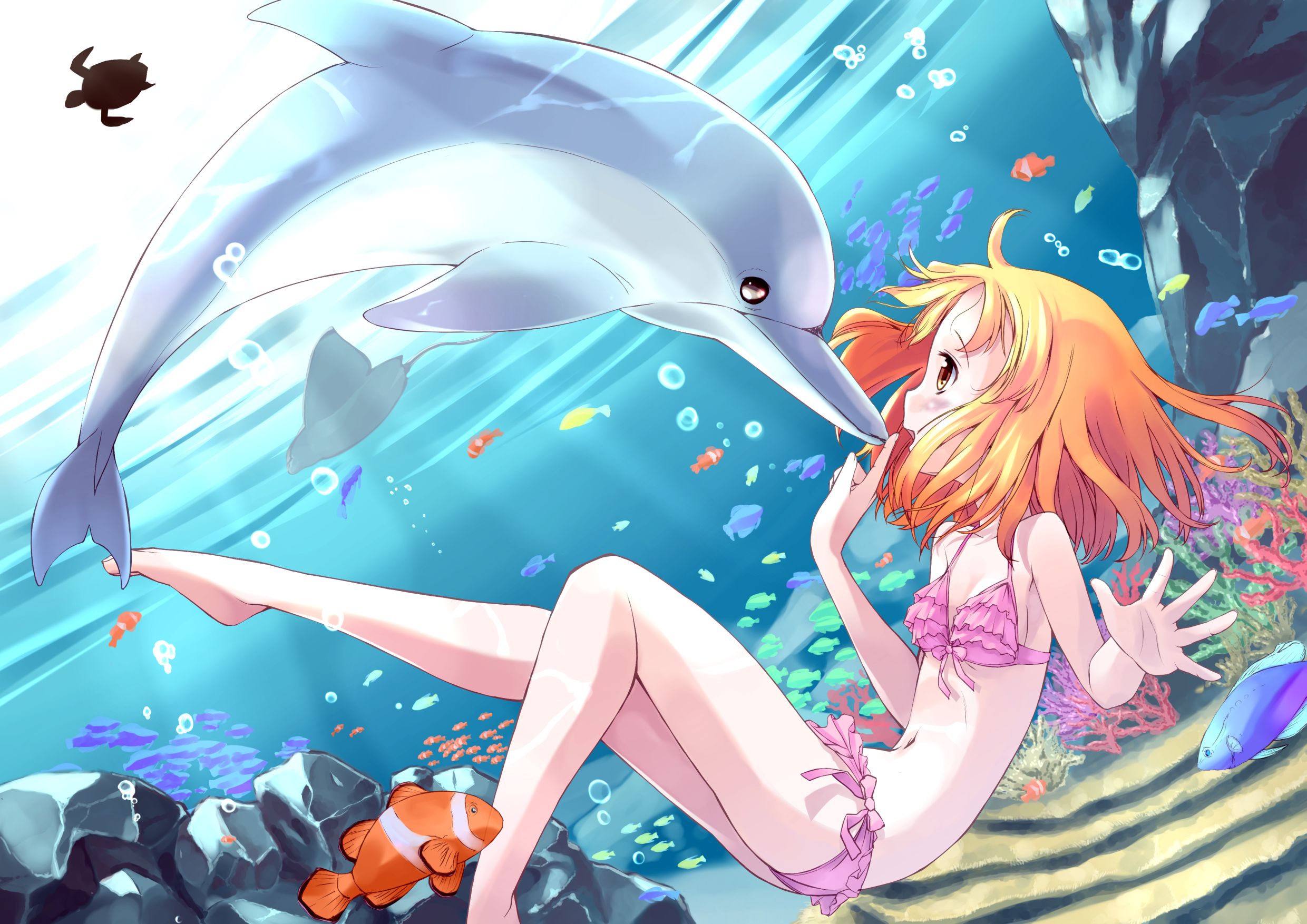Free download wallpaper Anime, Dolphin, Underwater on your PC desktop