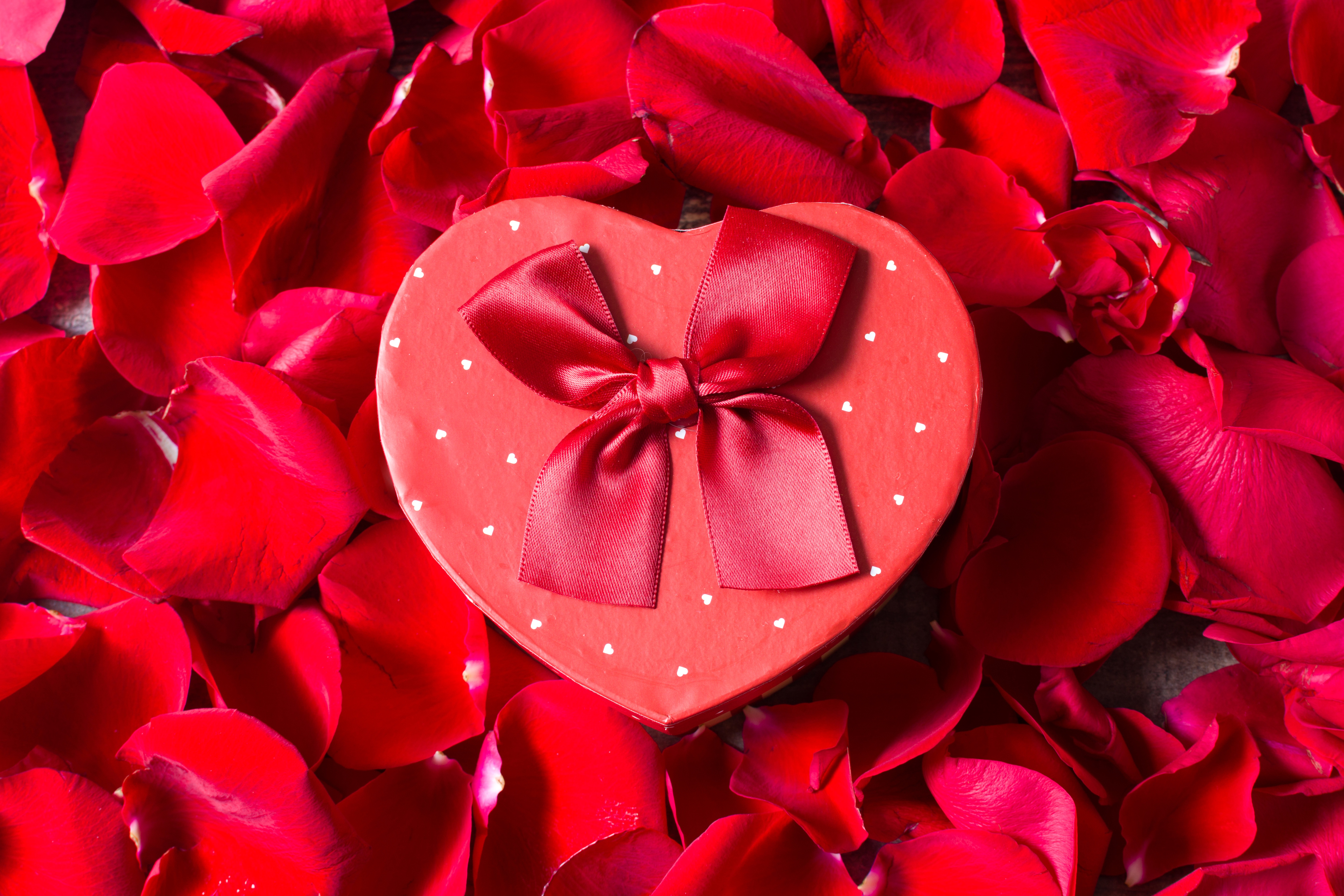 Download mobile wallpaper Valentine's Day, Holiday, Gift, Petal, Heart Shaped for free.