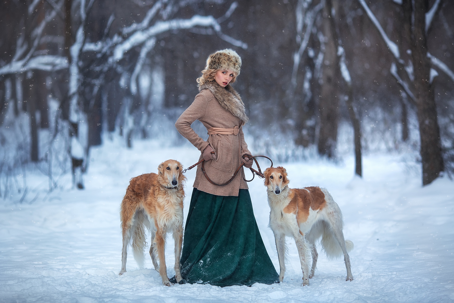 977481 descargar fondo de pantalla mujeres, modelo, profundidad de campo, perro, sombrero, saluki, nieve, invierno: protectores de pantalla e imágenes gratis