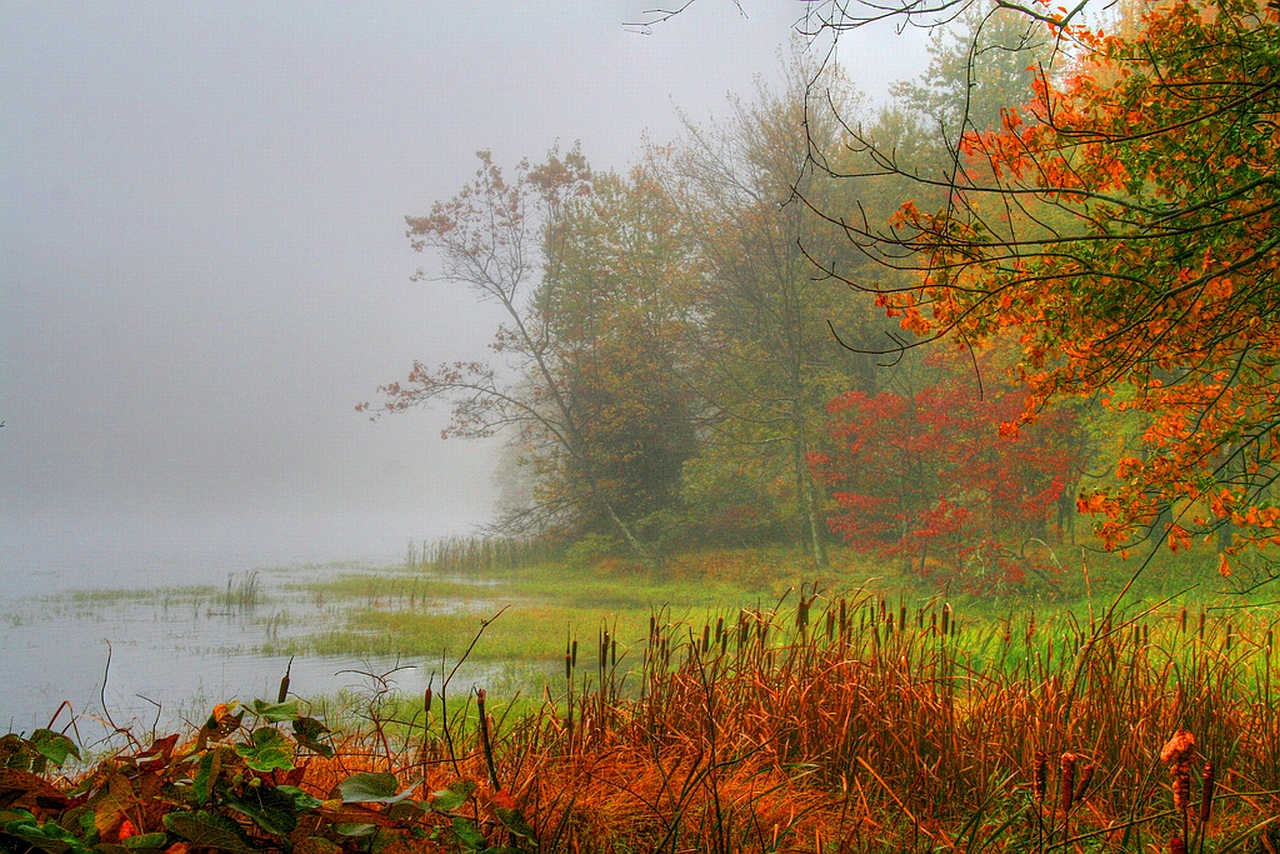 Descarga gratis la imagen Niebla, Tierra/naturaleza en el escritorio de tu PC