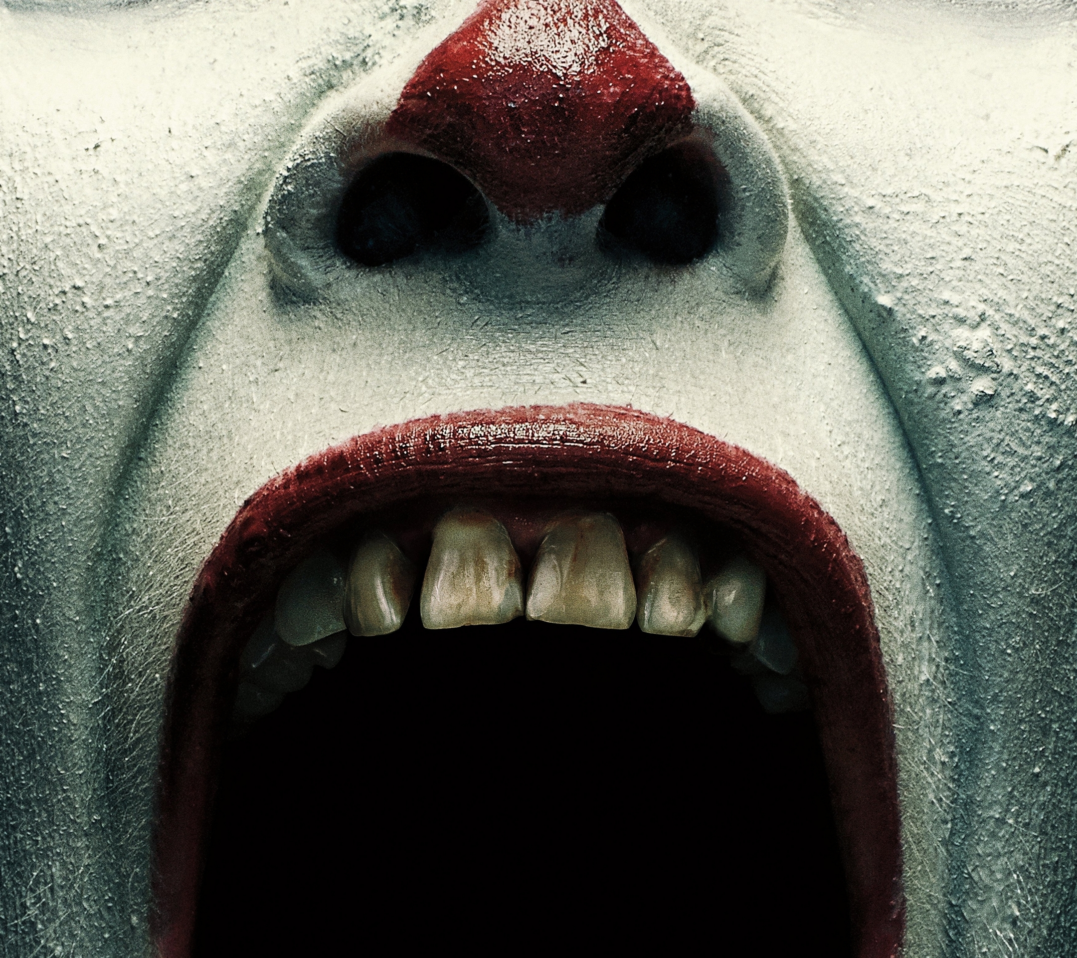 Laden Sie das Fernsehserien, American Horror Story-Bild kostenlos auf Ihren PC-Desktop herunter